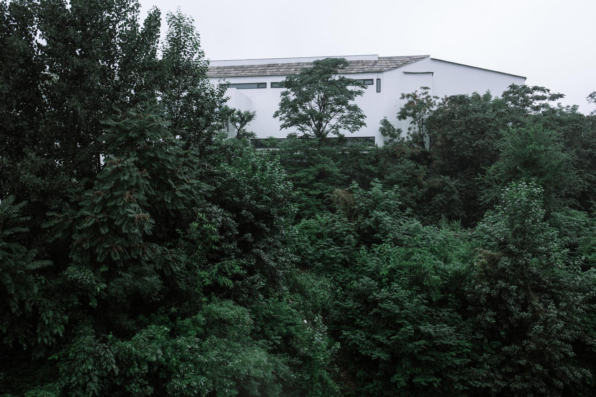 Dong Lu Yuan - image 6