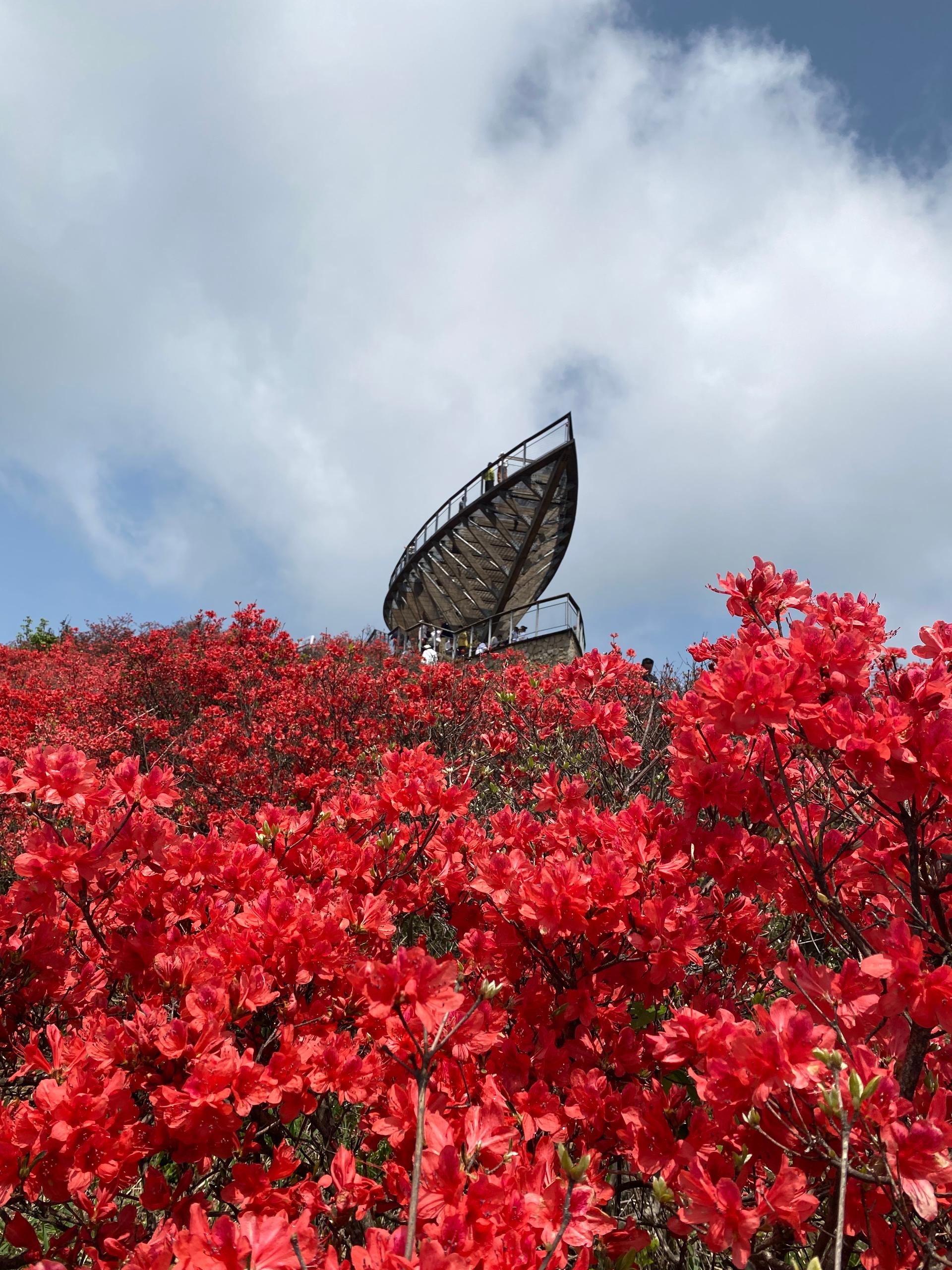 Sky Concert Hall - image 16