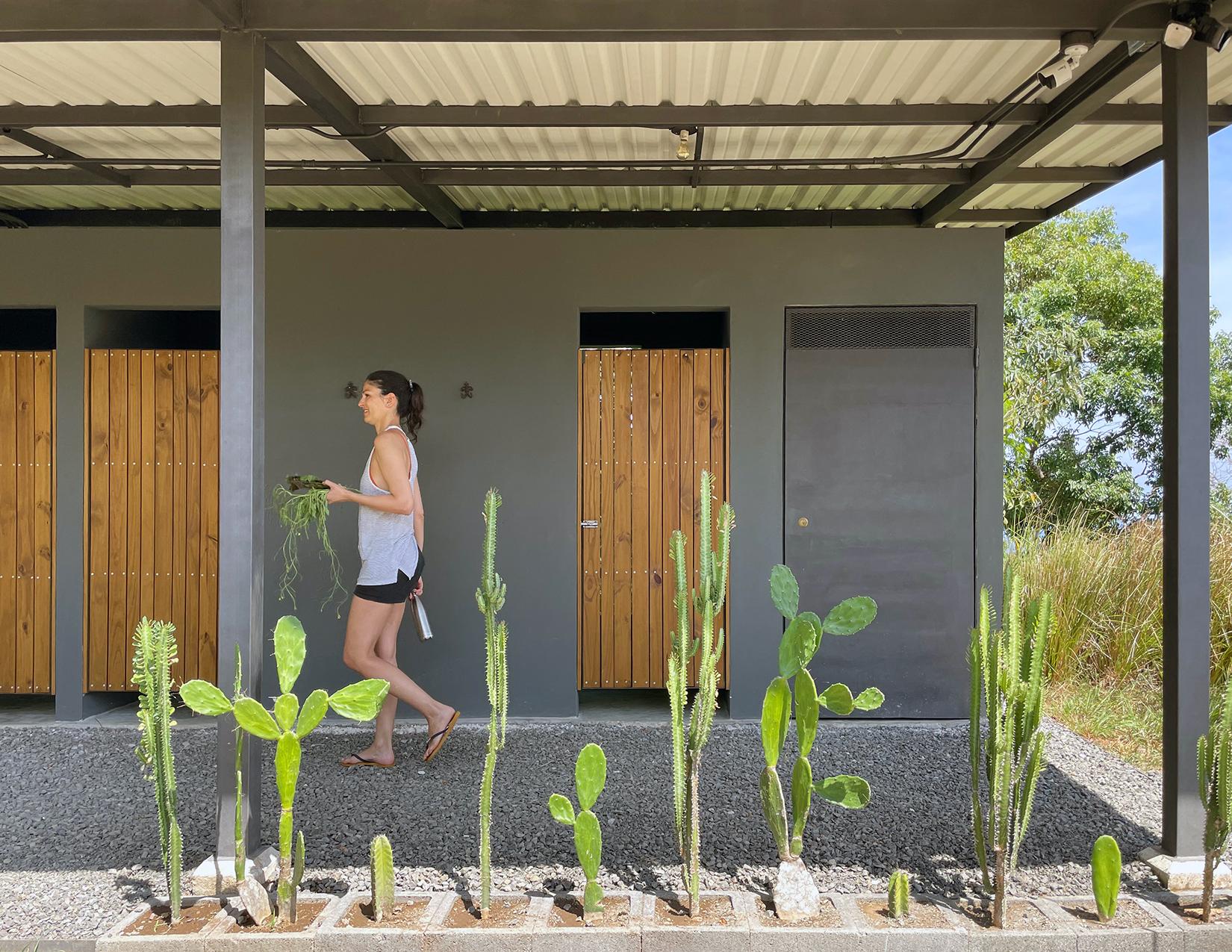 Biophilic Prefab Home - image 10