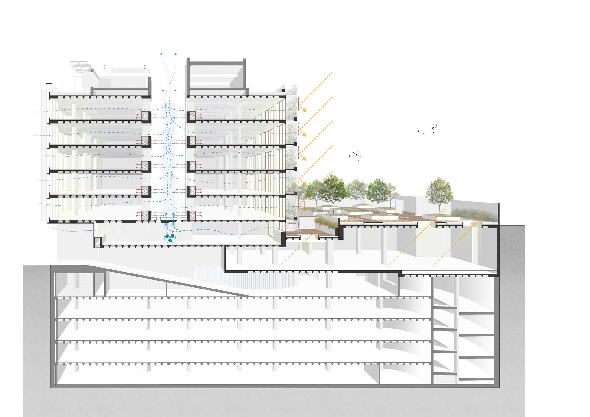 Aribau195: Reconnecting Nature, City & Livability - image 15