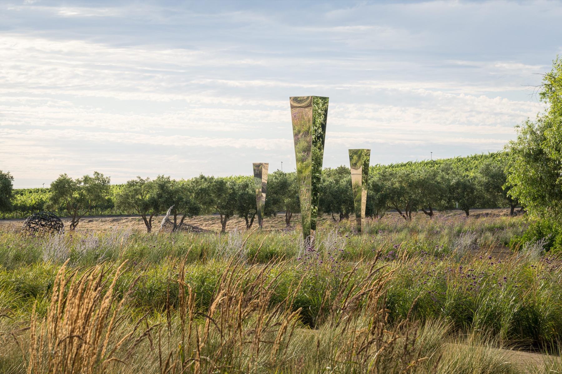 Sensory Garden at the Donum Estate - image 5