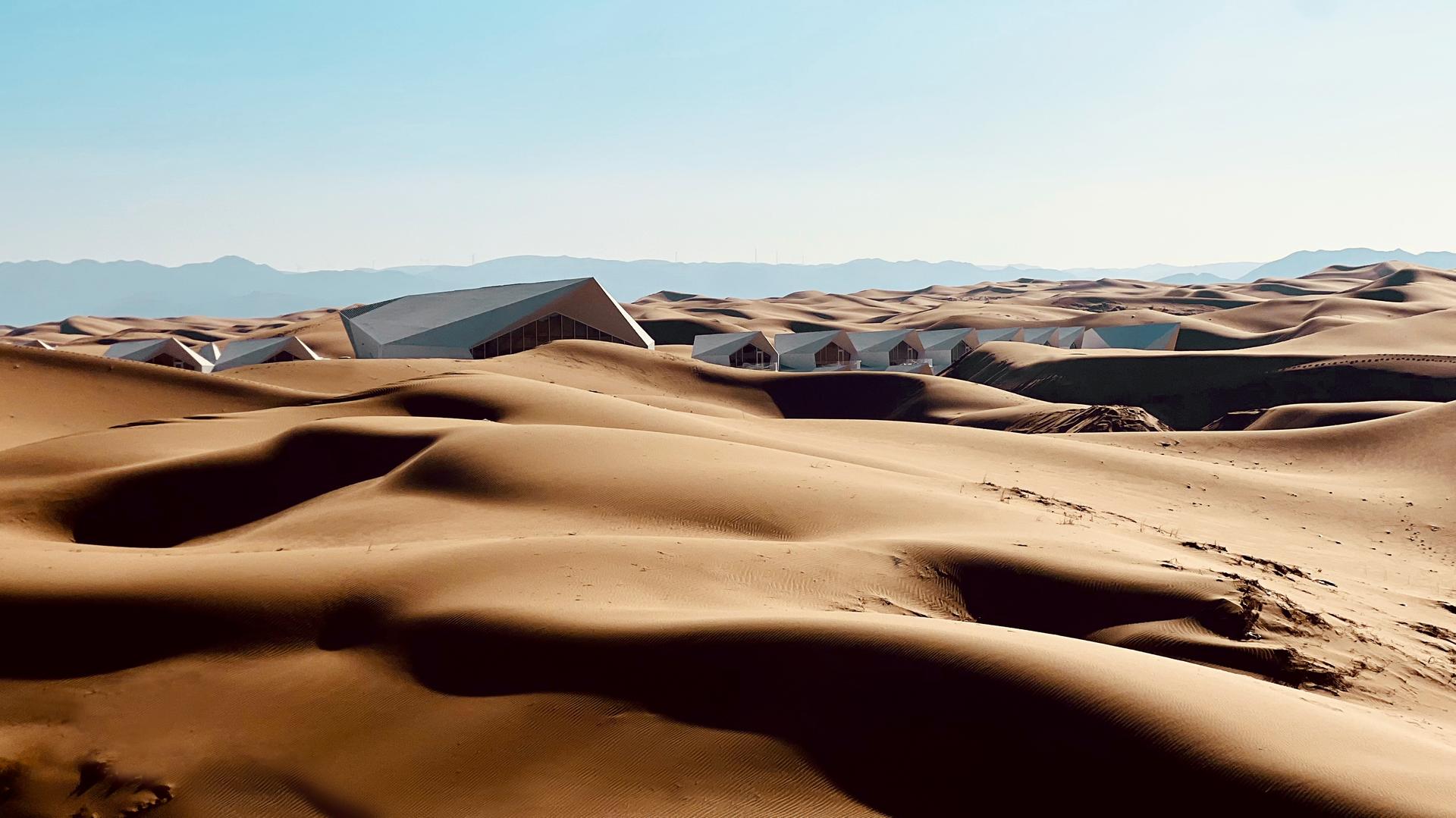 Desert Diamond Hotel - image 8