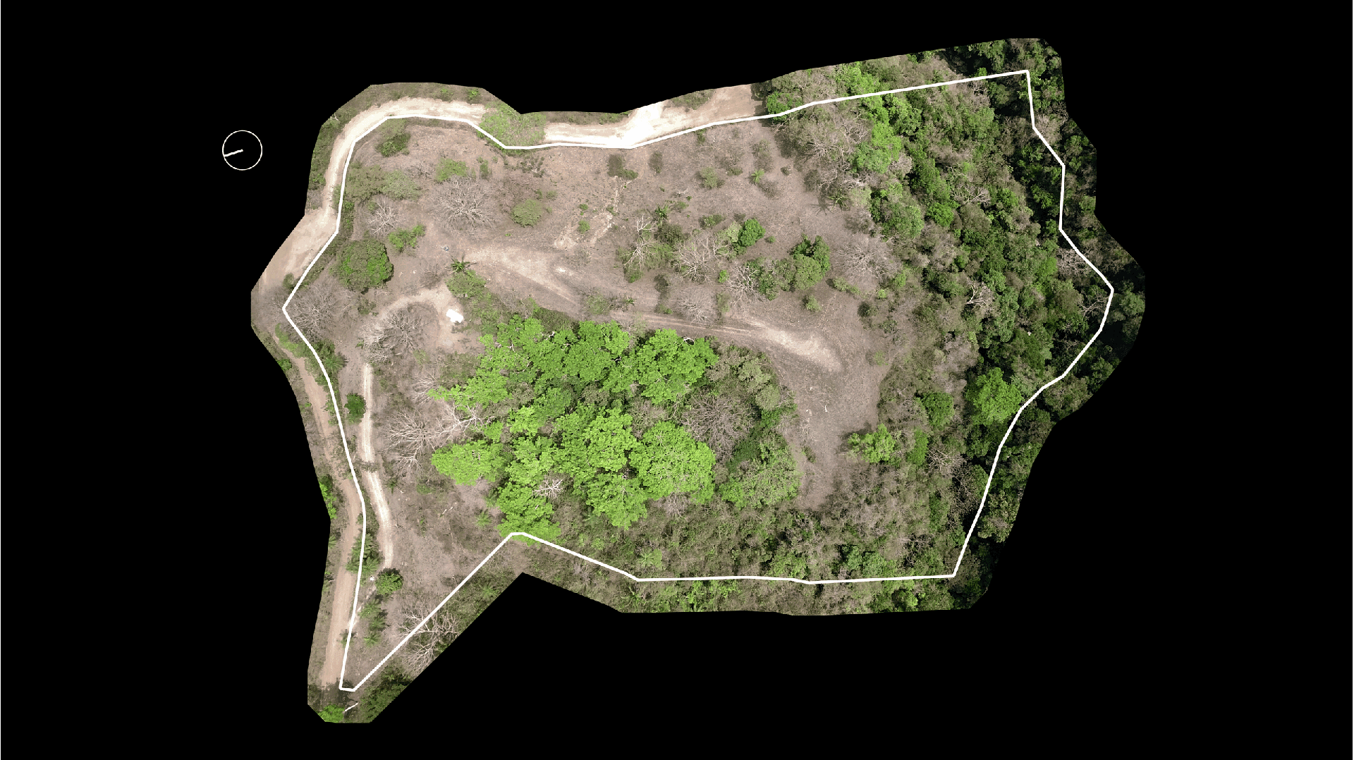 Biophilic Prefab Home - image 7