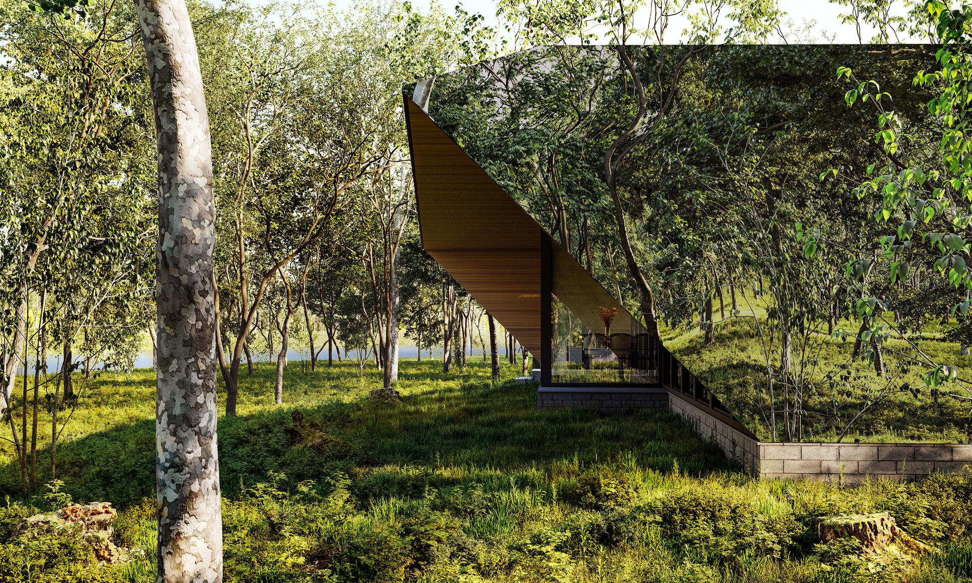 Concealed Cottage