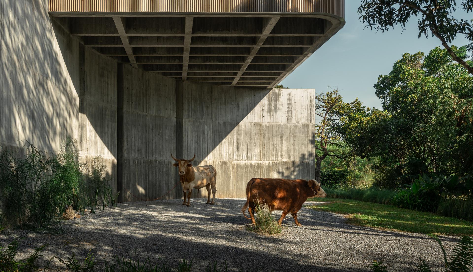 W HOUSE II - image 17