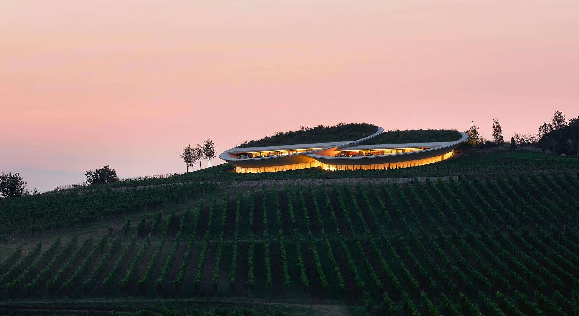 Sauska Tokaj Winery - image 2