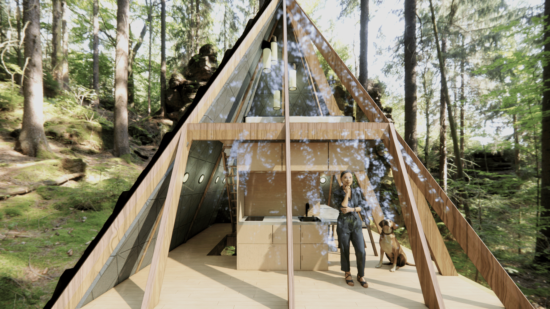 NESTSHIP - image 5