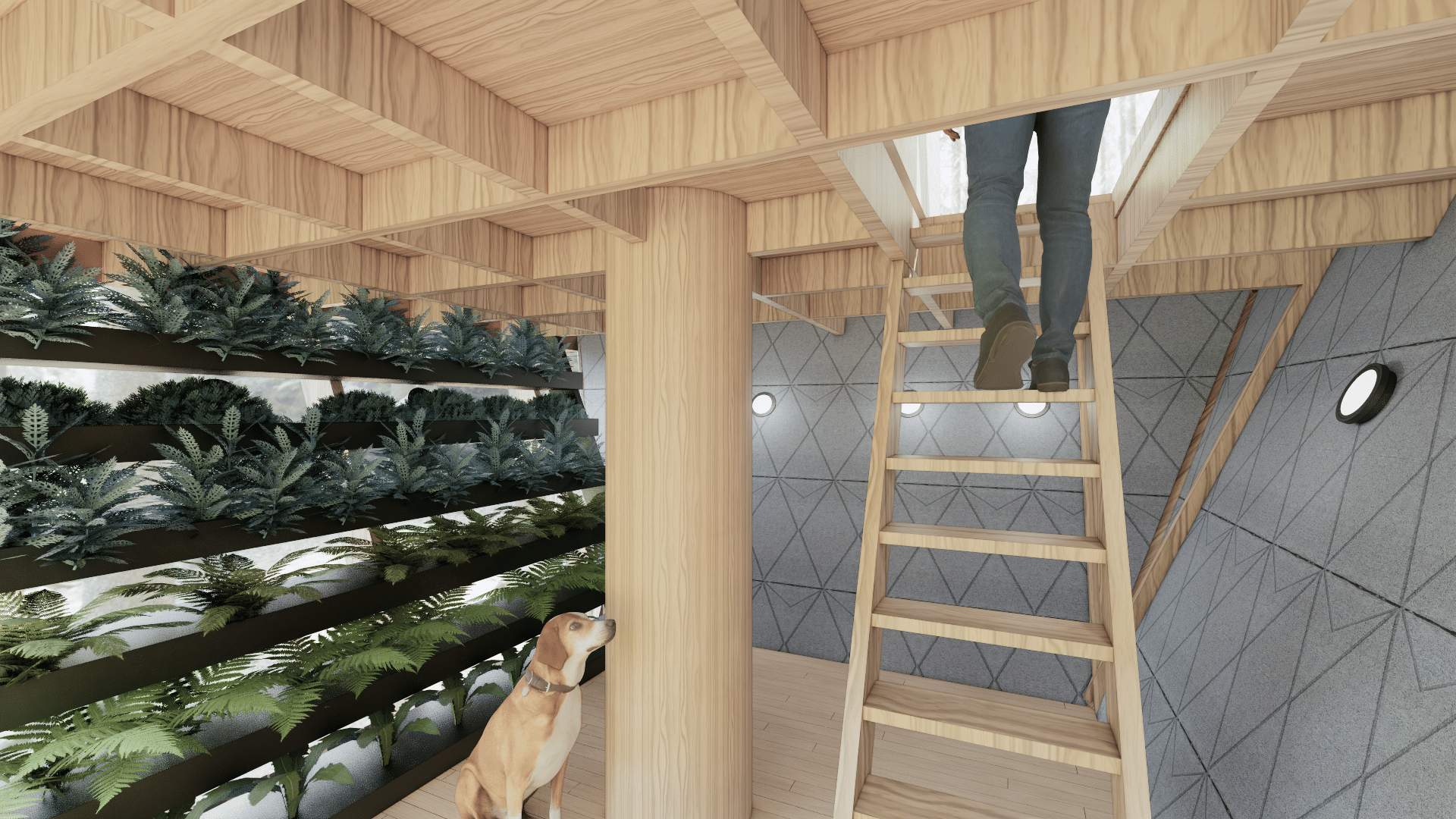 NESTSHIP - image 7