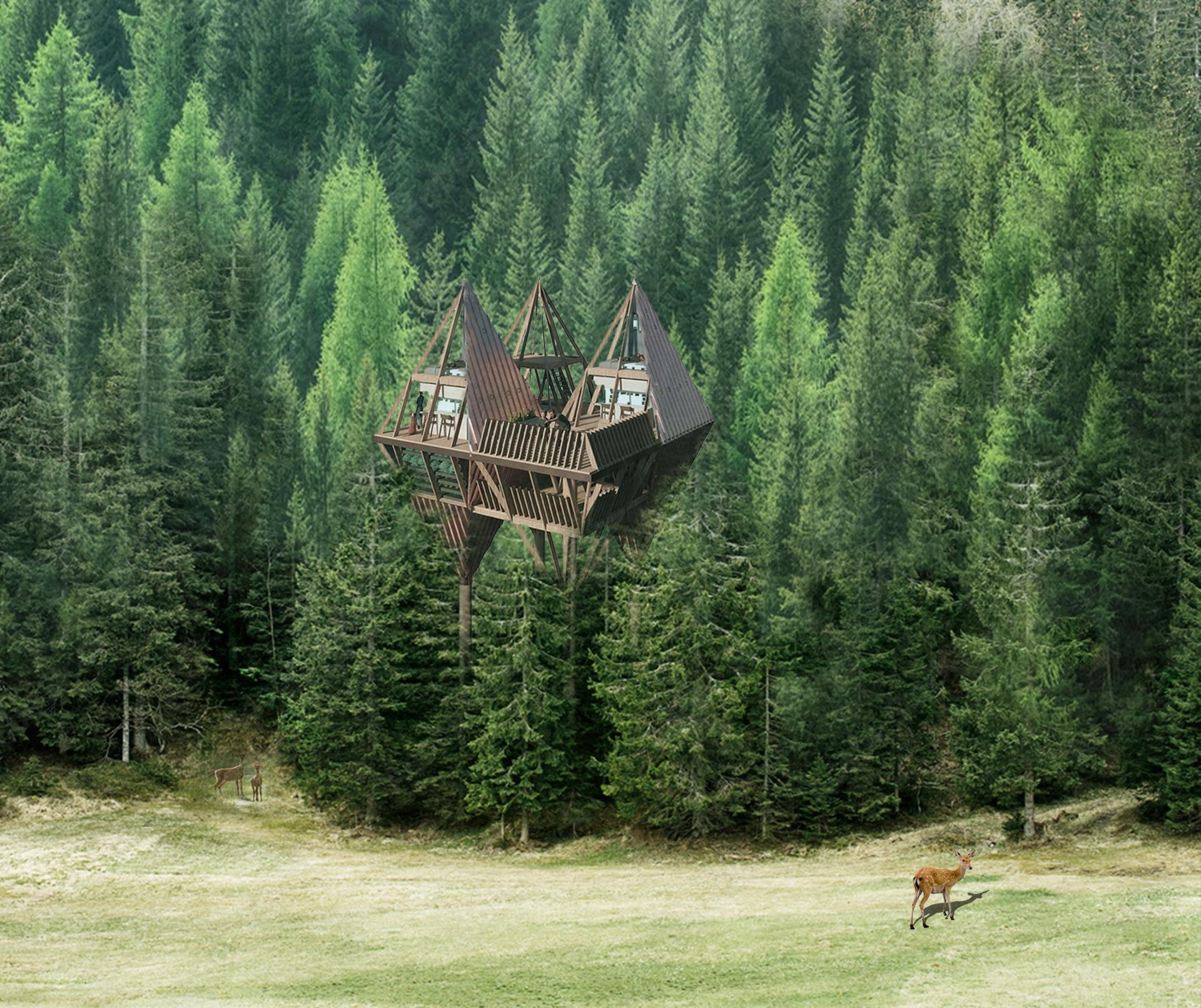 NESTSHIP - image 11