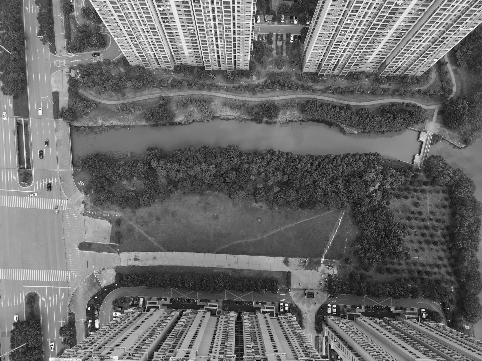 The Orchestra Park - image 3