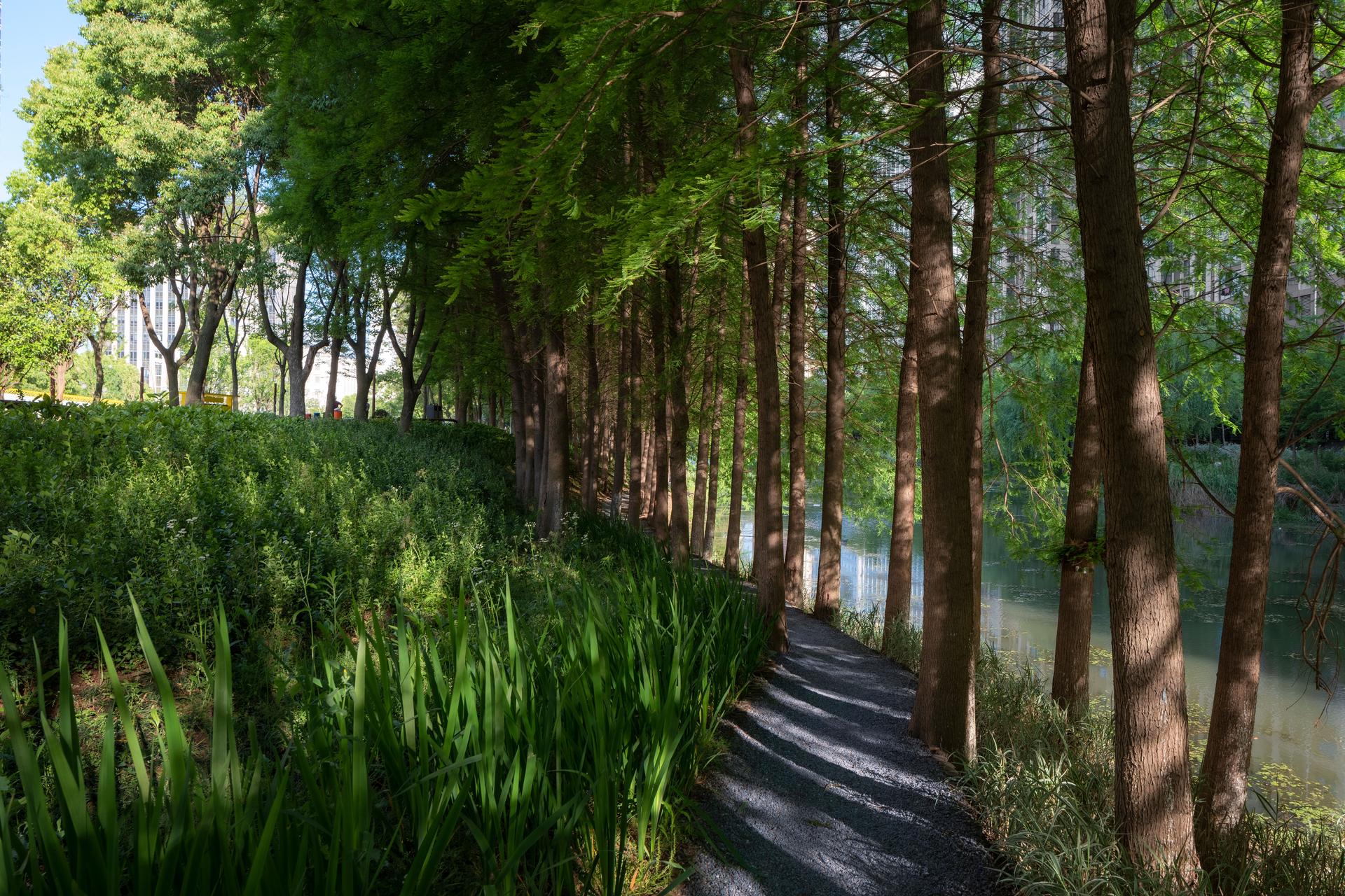 The Orchestra Park - image 7