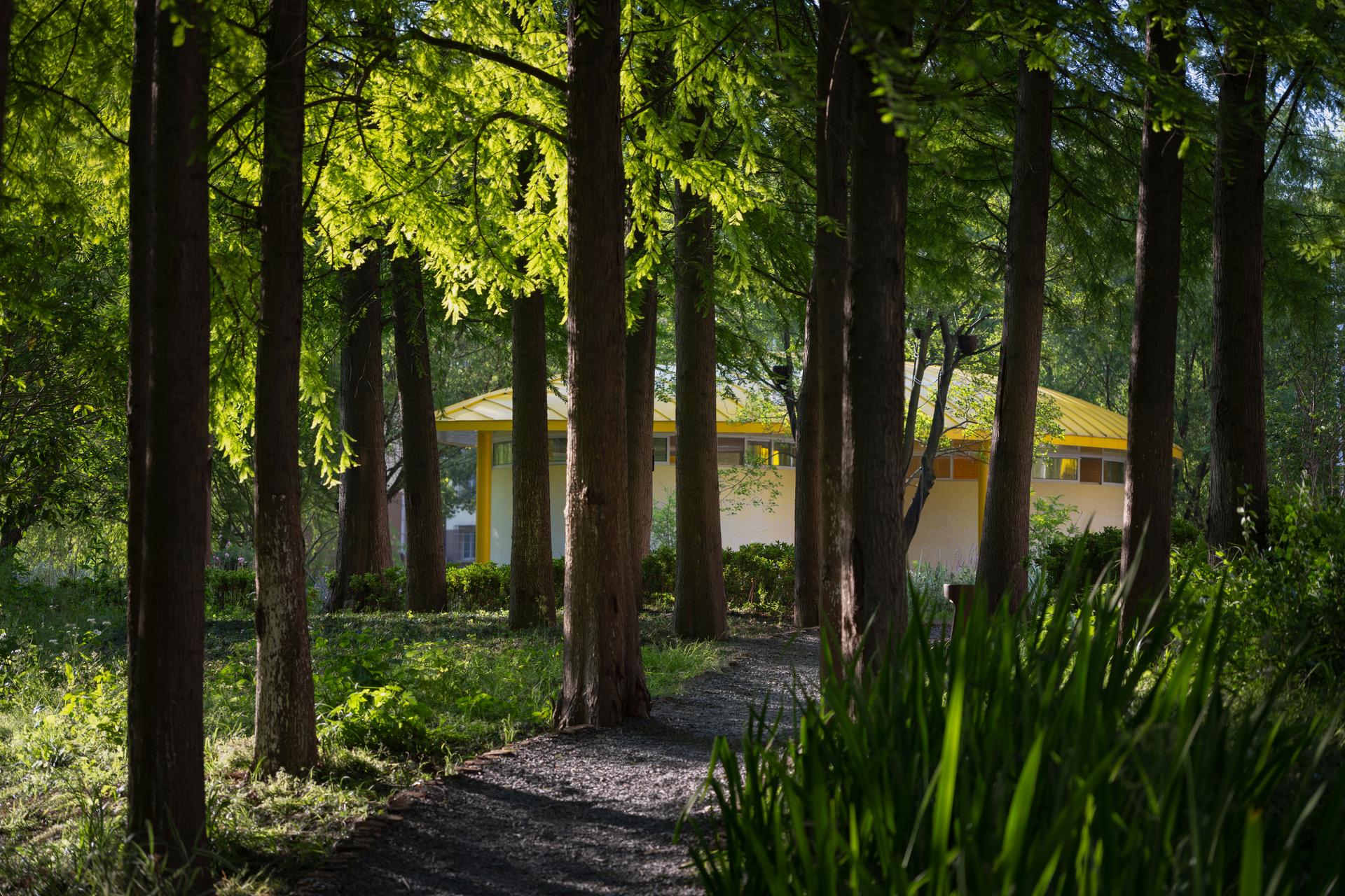 The Orchestra Park - image 12