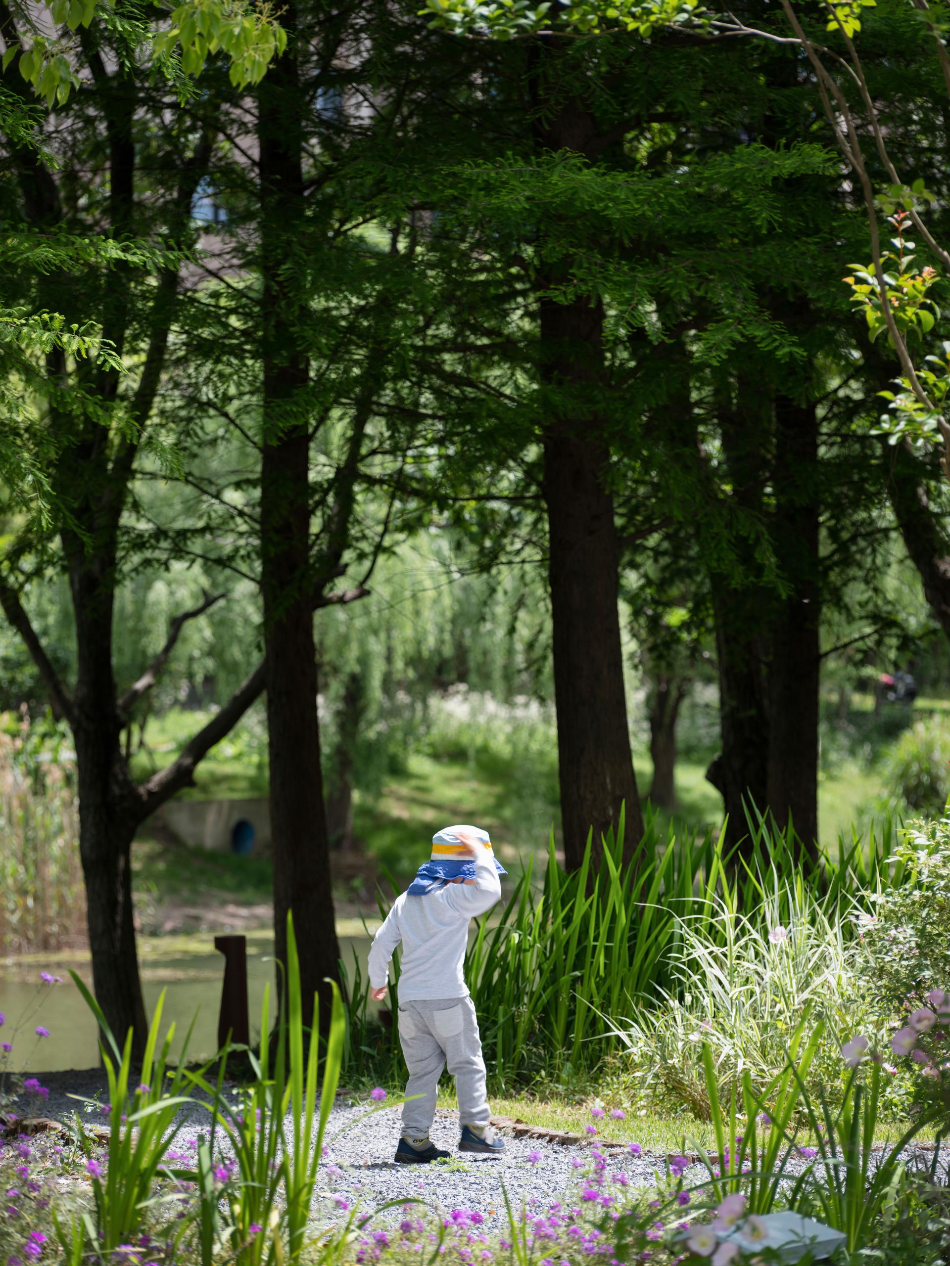 The Orchestra Park - image 17