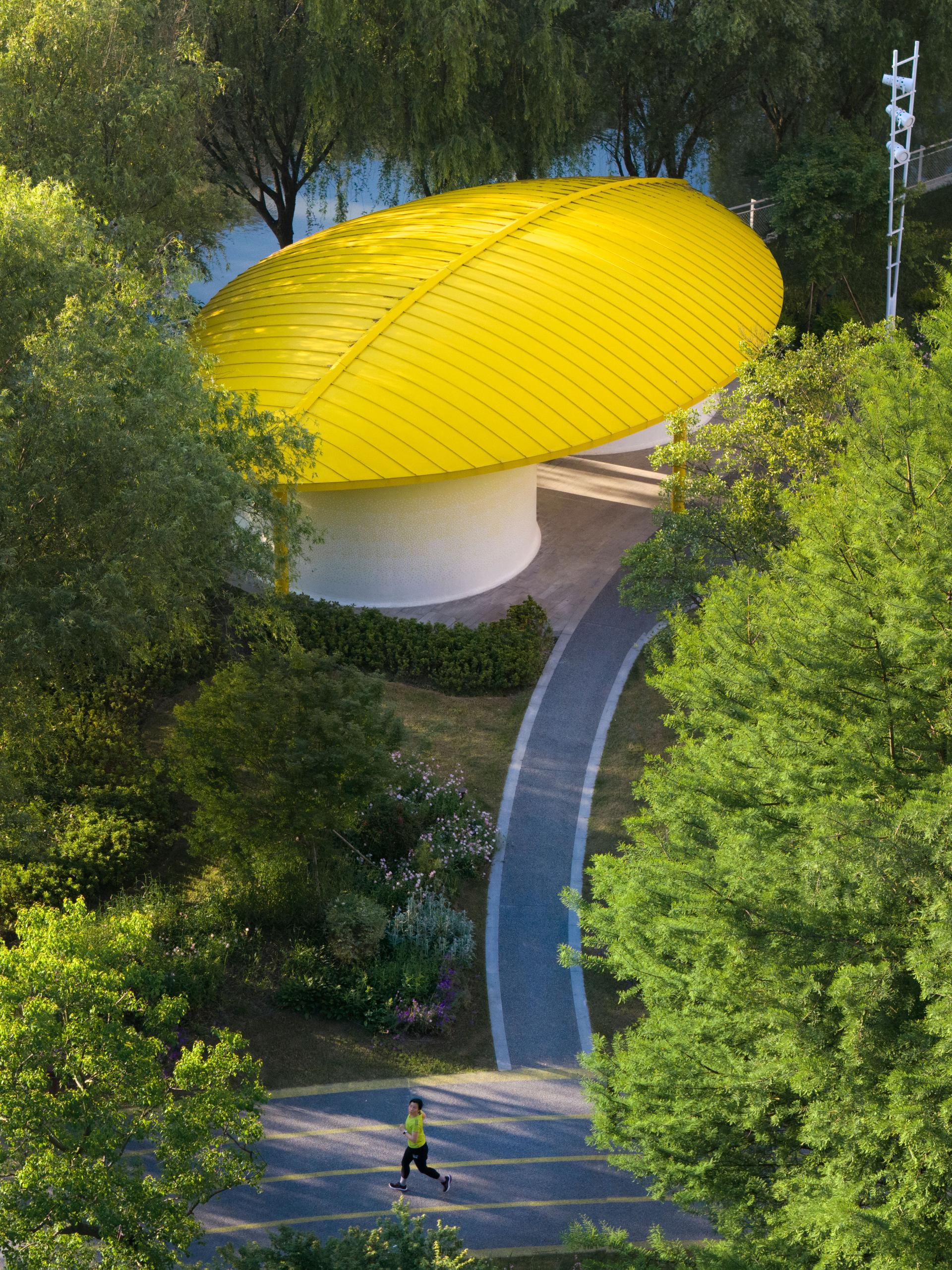 The Orchestra Park - image 19