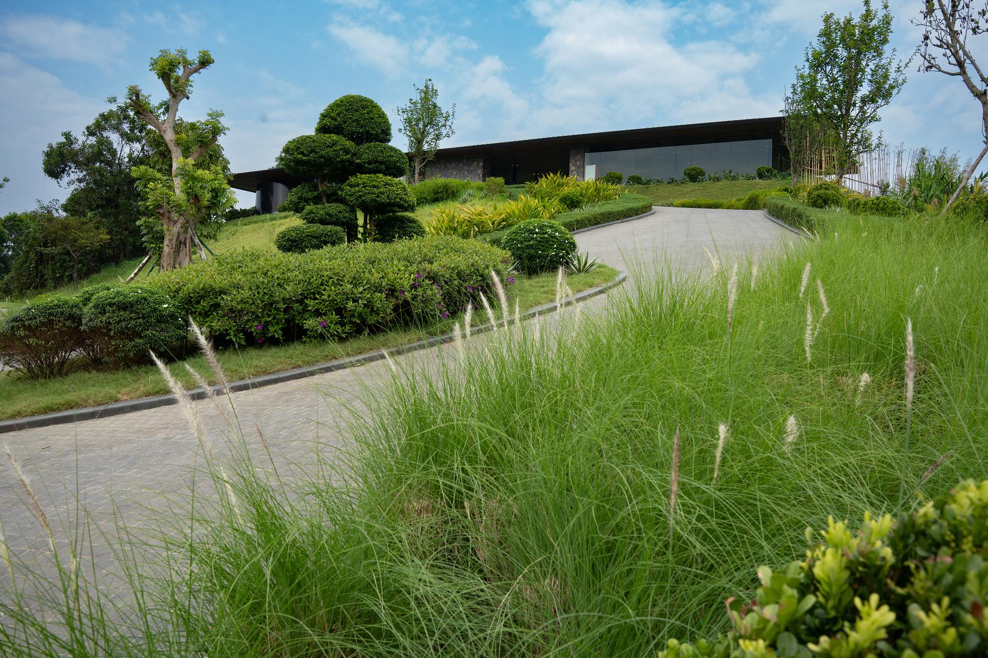"The Indigo" Driving Range - image 21
