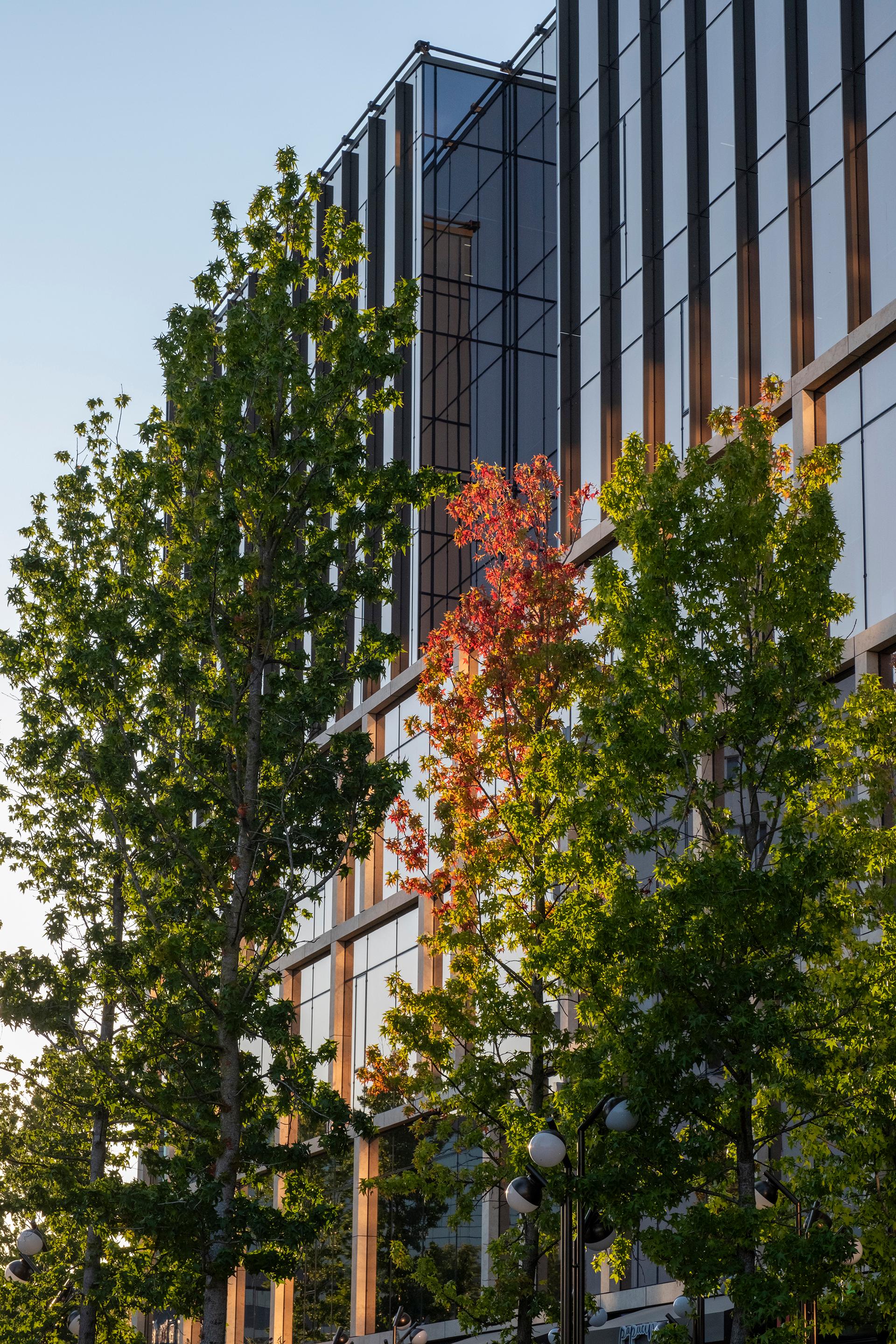 Palas Campus - image 6
