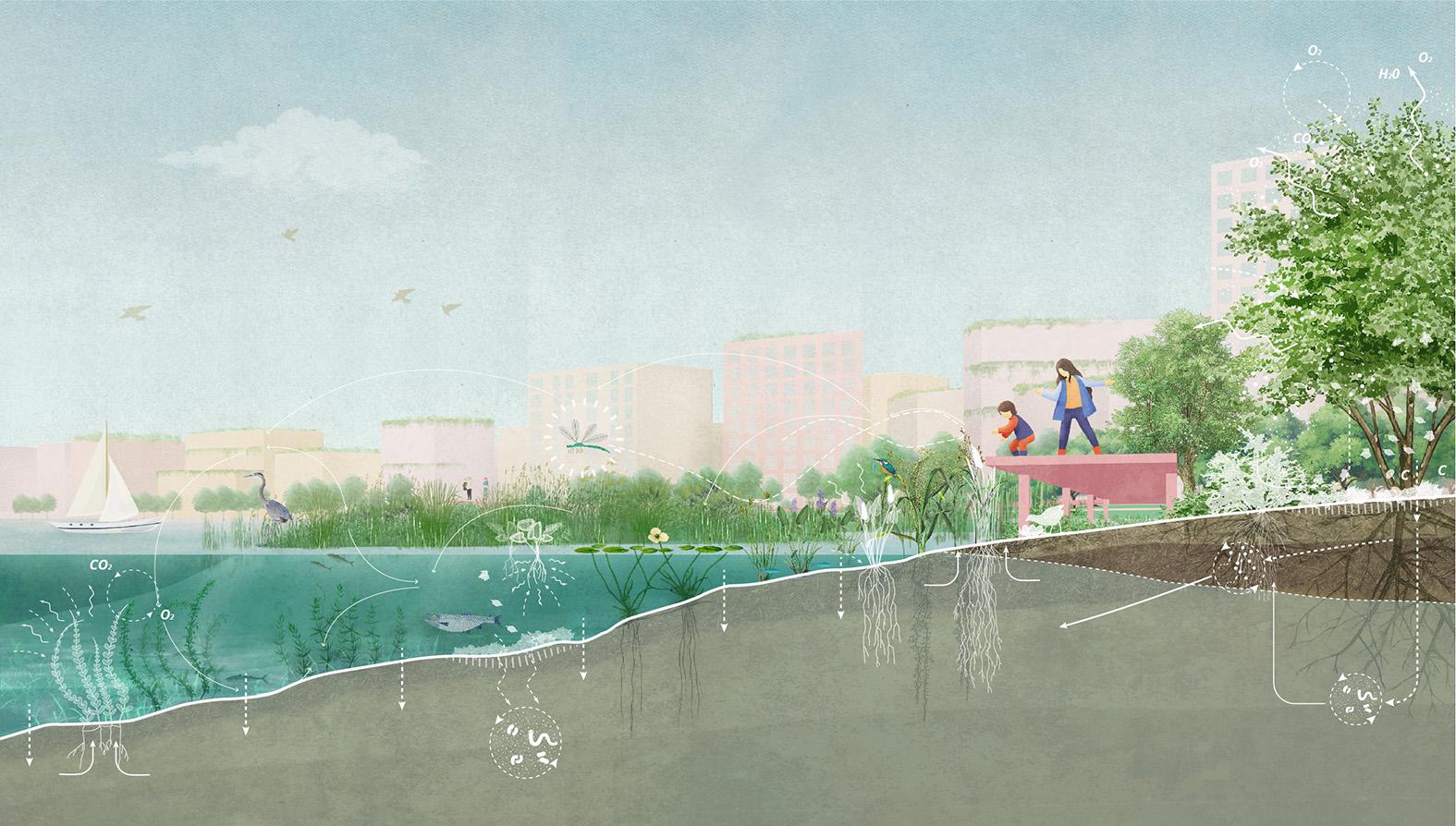 Almere 2040 - image 9