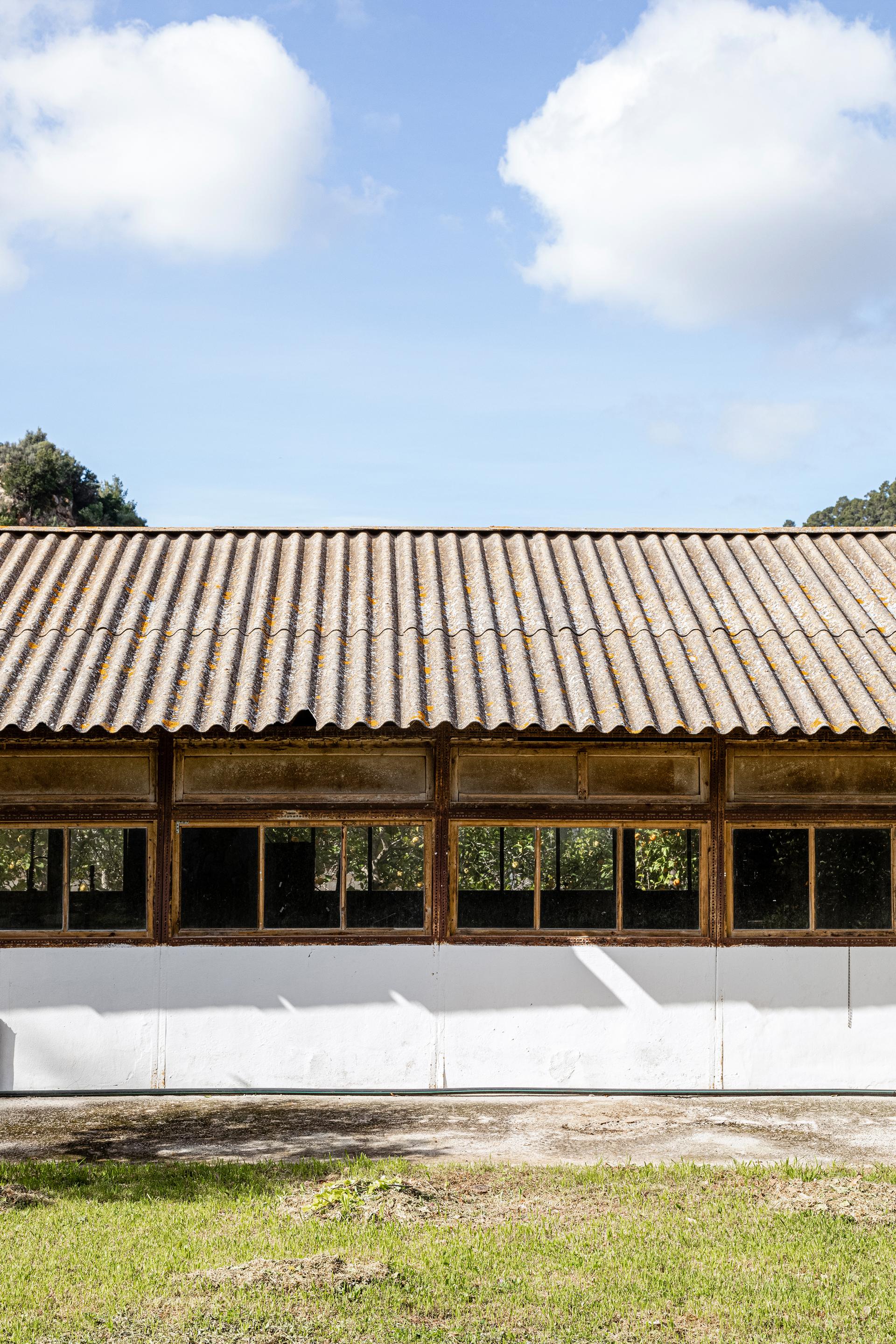 Sa Taronja - image 39
