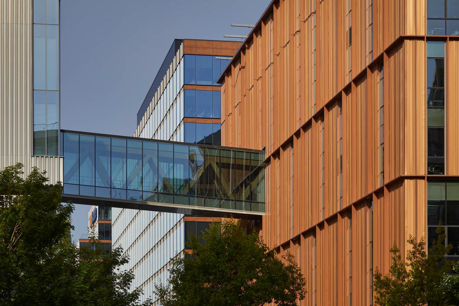 Limberlost Place, George Brown College - image 35