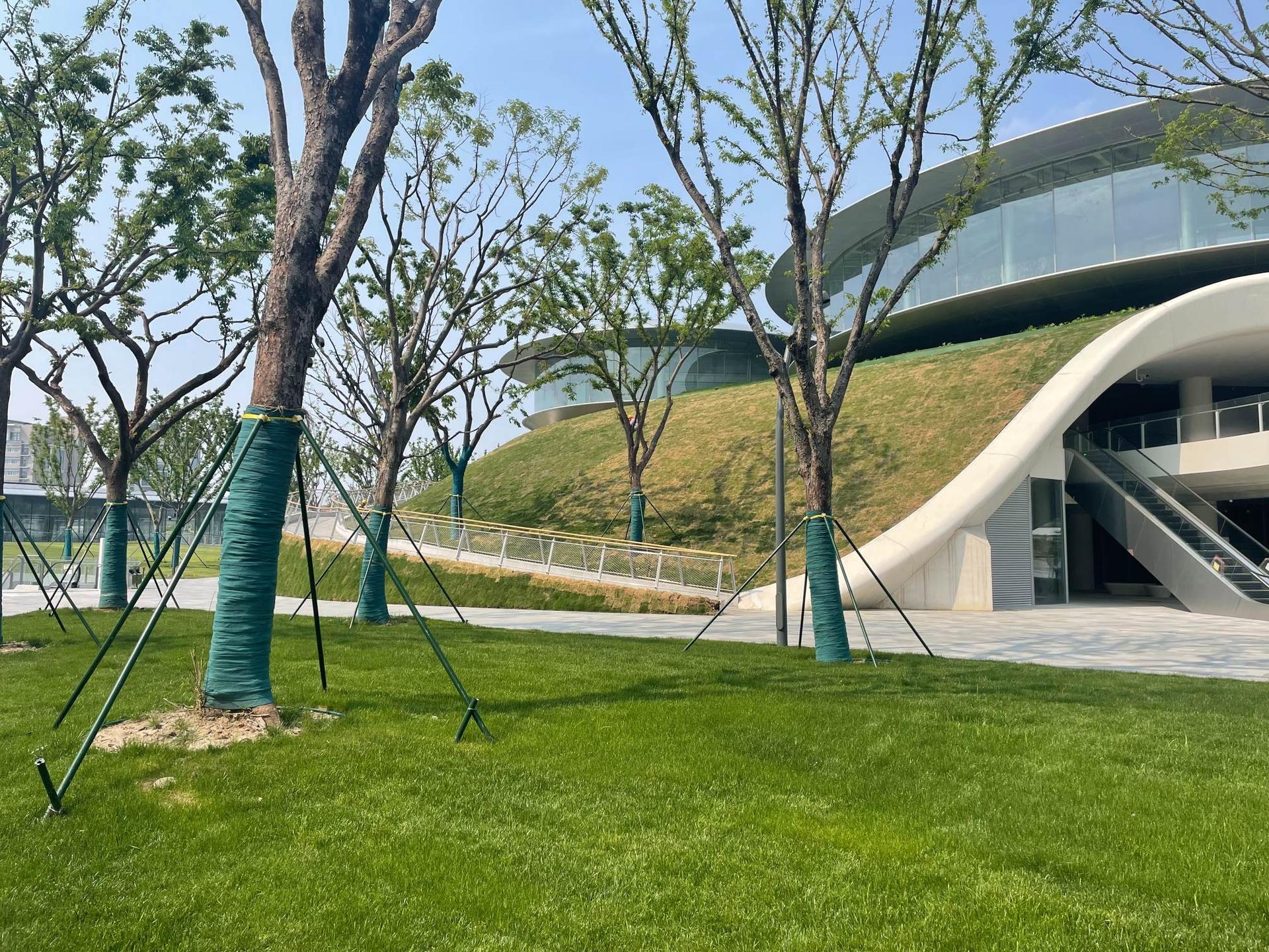 The "Train Station in the Forest" – Jiaxing Railway Station - image 2