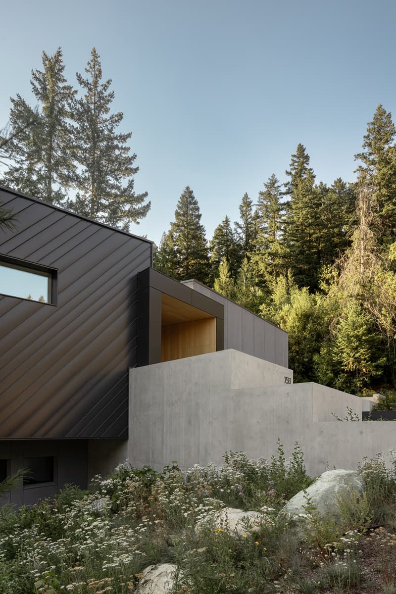 Passive Plus Forest Retreat - image 6