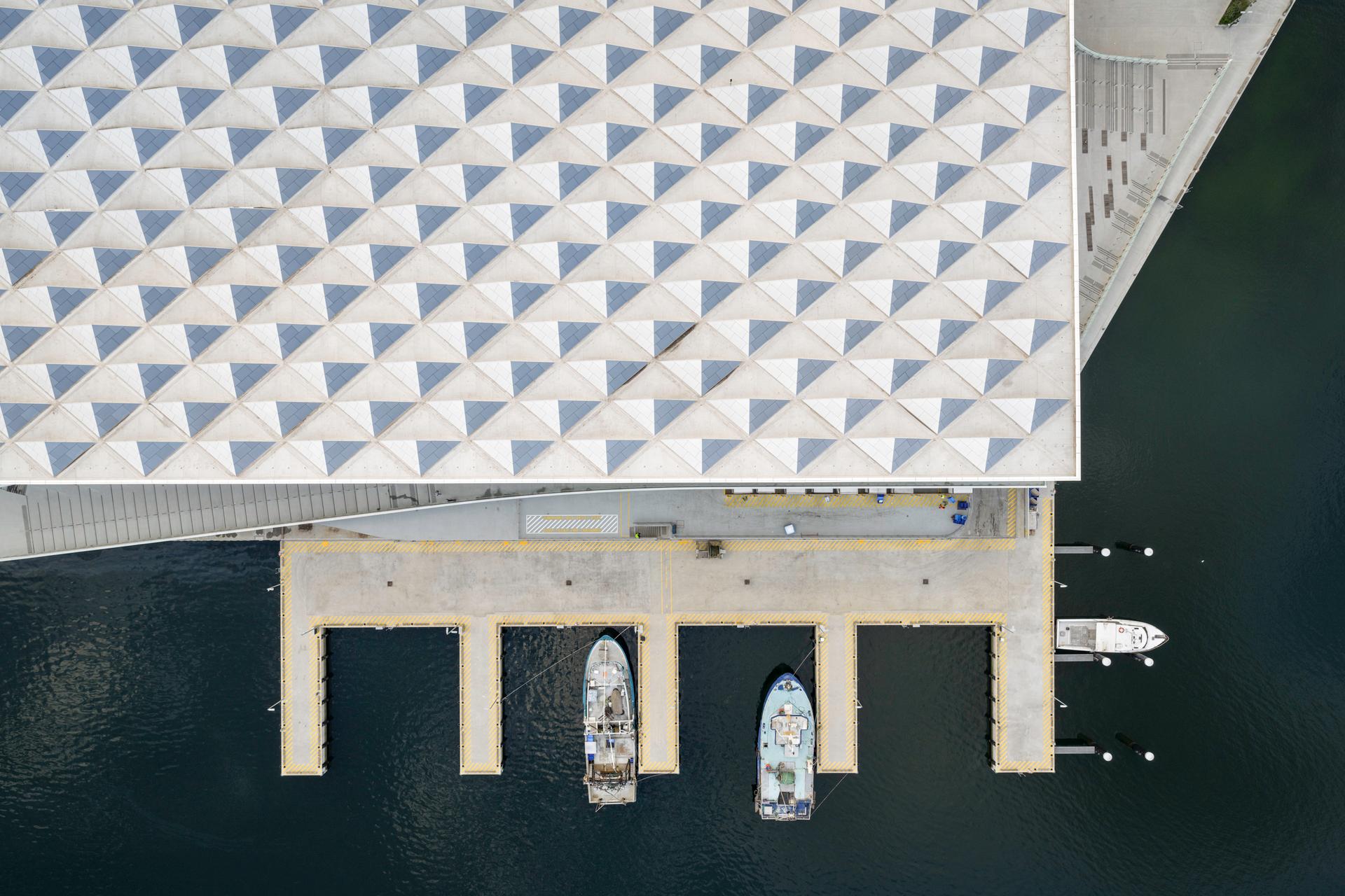 Sydney Fish Market - image 7