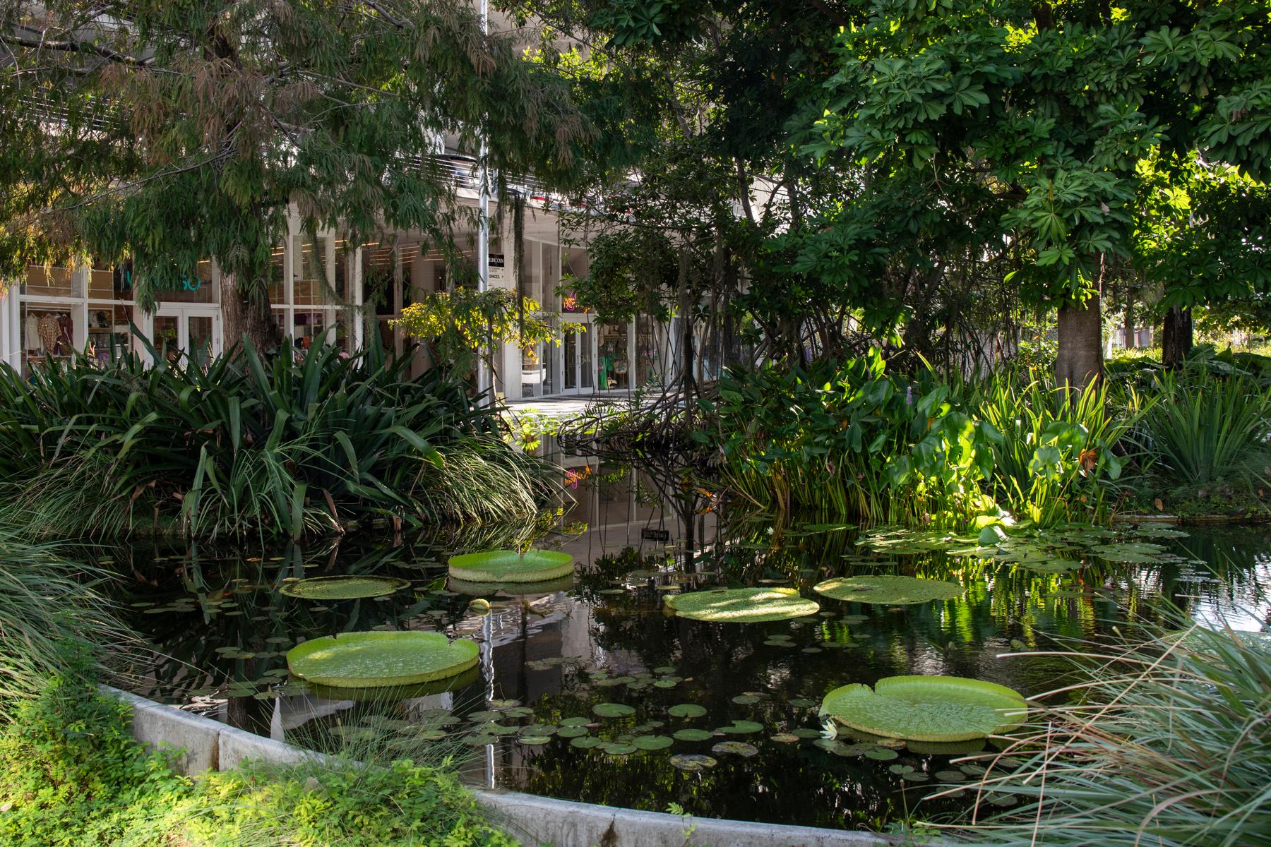 1111 Lincoln Road