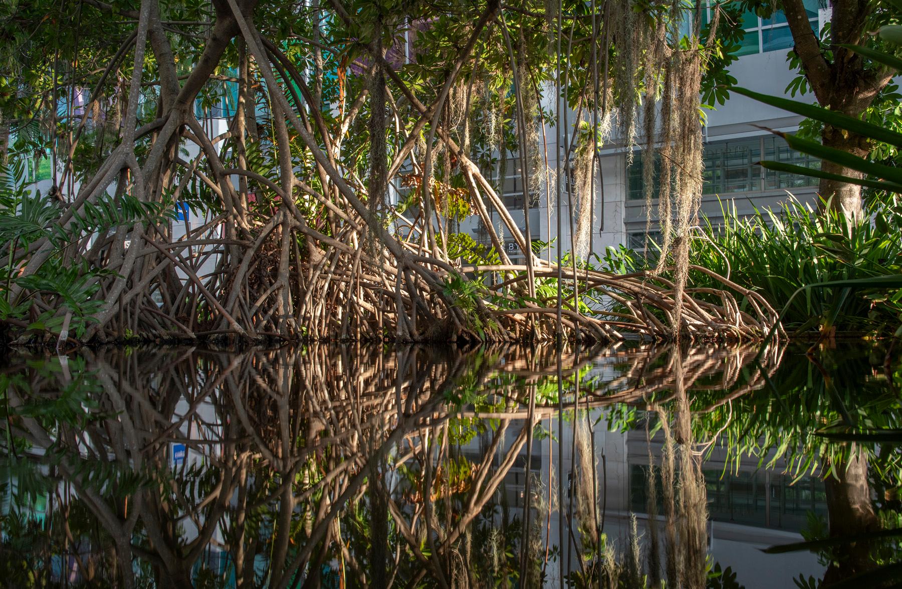 1111 Lincoln Road - image 5