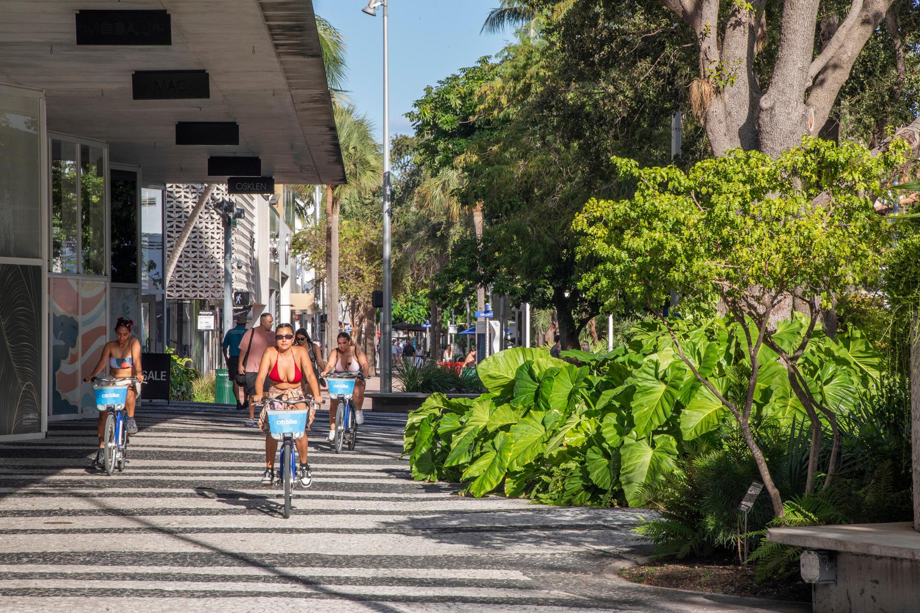 1111 Lincoln Road - image 6