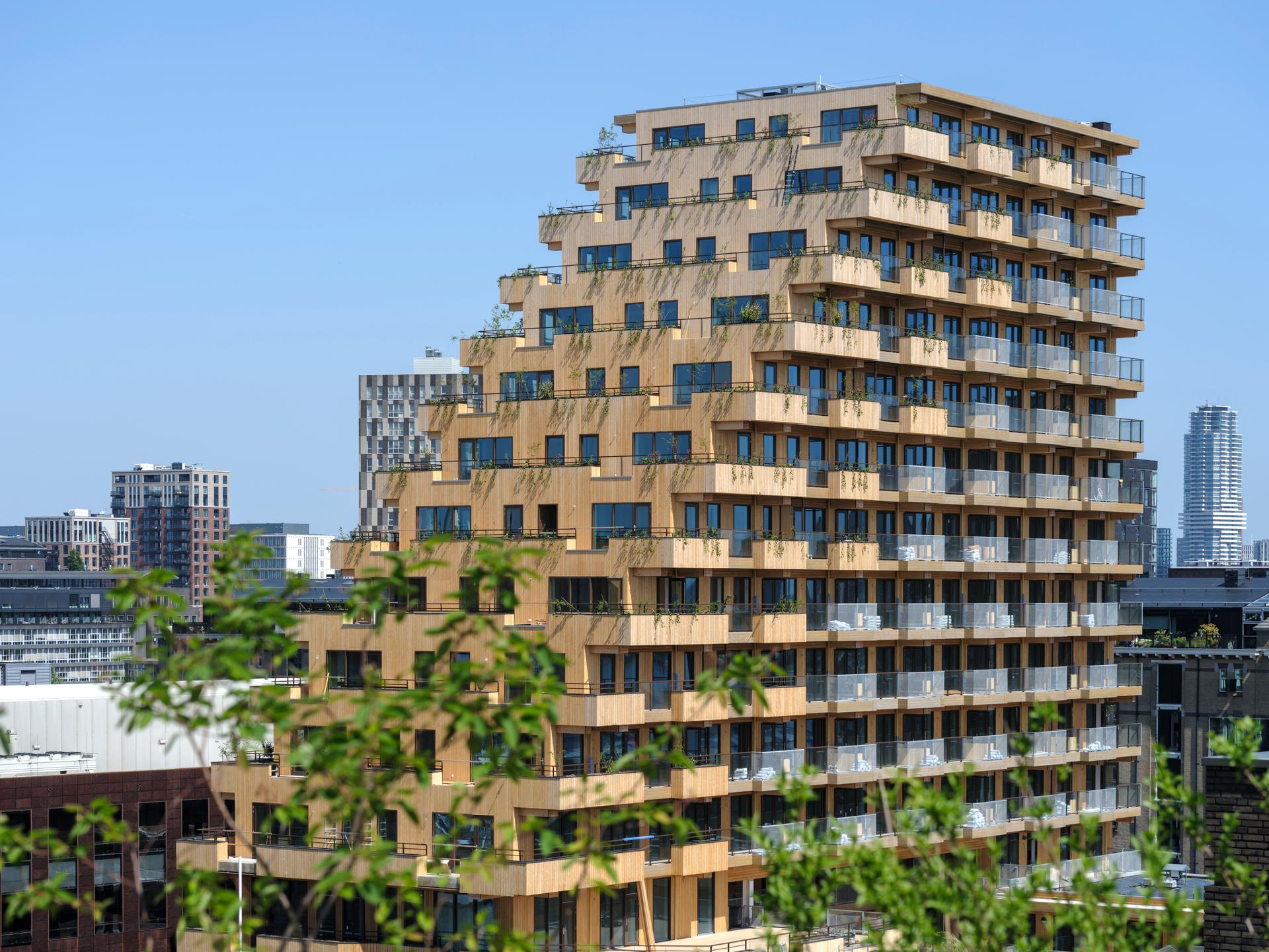 SAWA - image 6