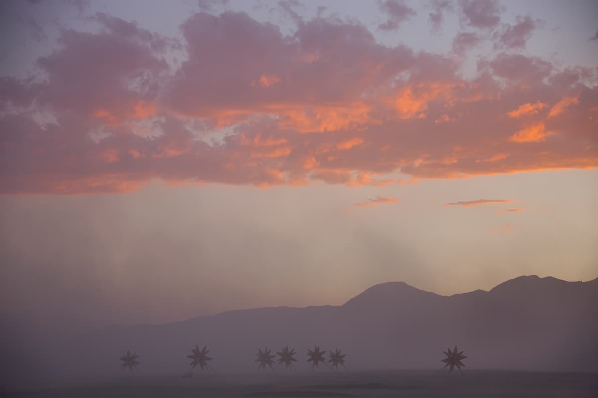 Starlight - image 11