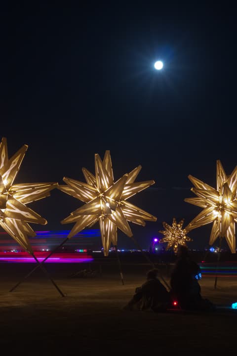 Starlight - image 5