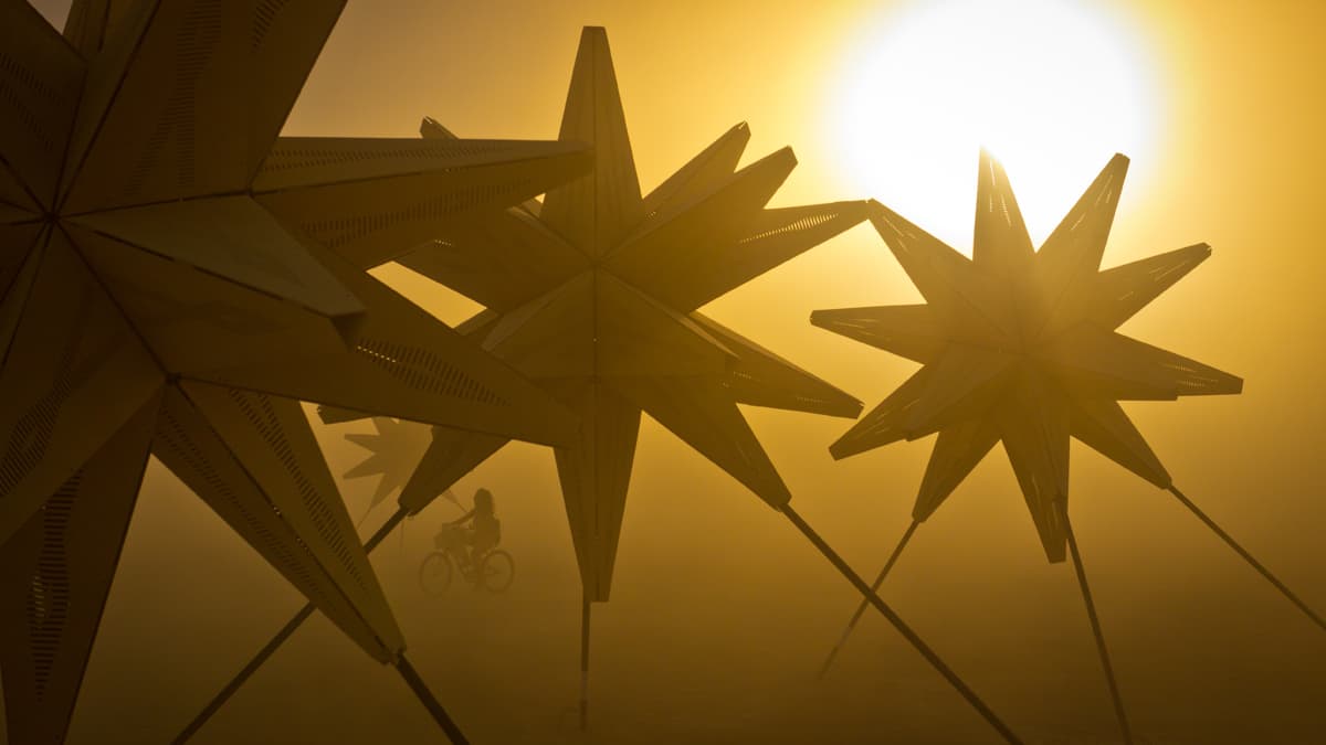 Starlight - image 4