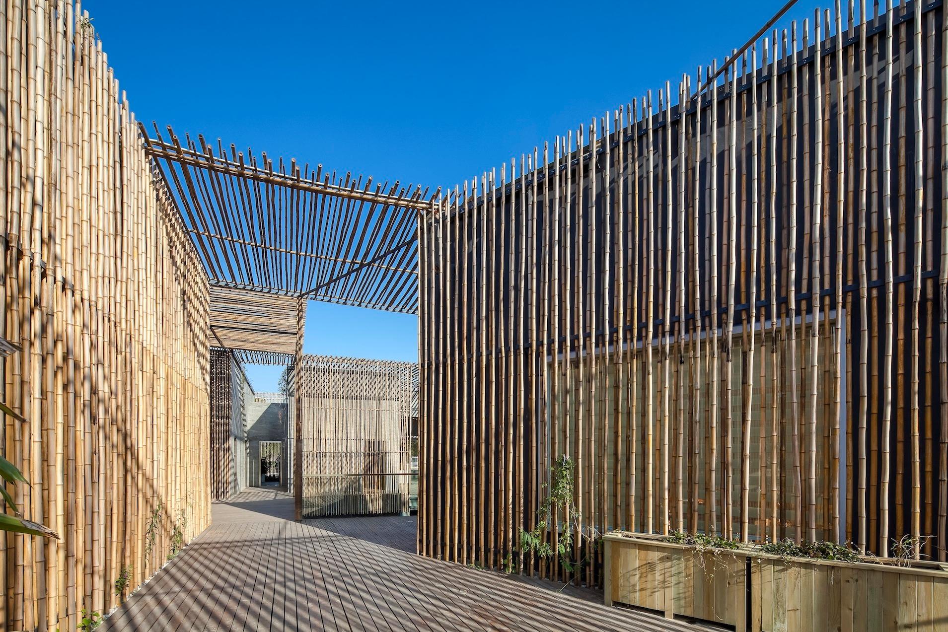 Bamboo Courtyard Teahouse - image 6