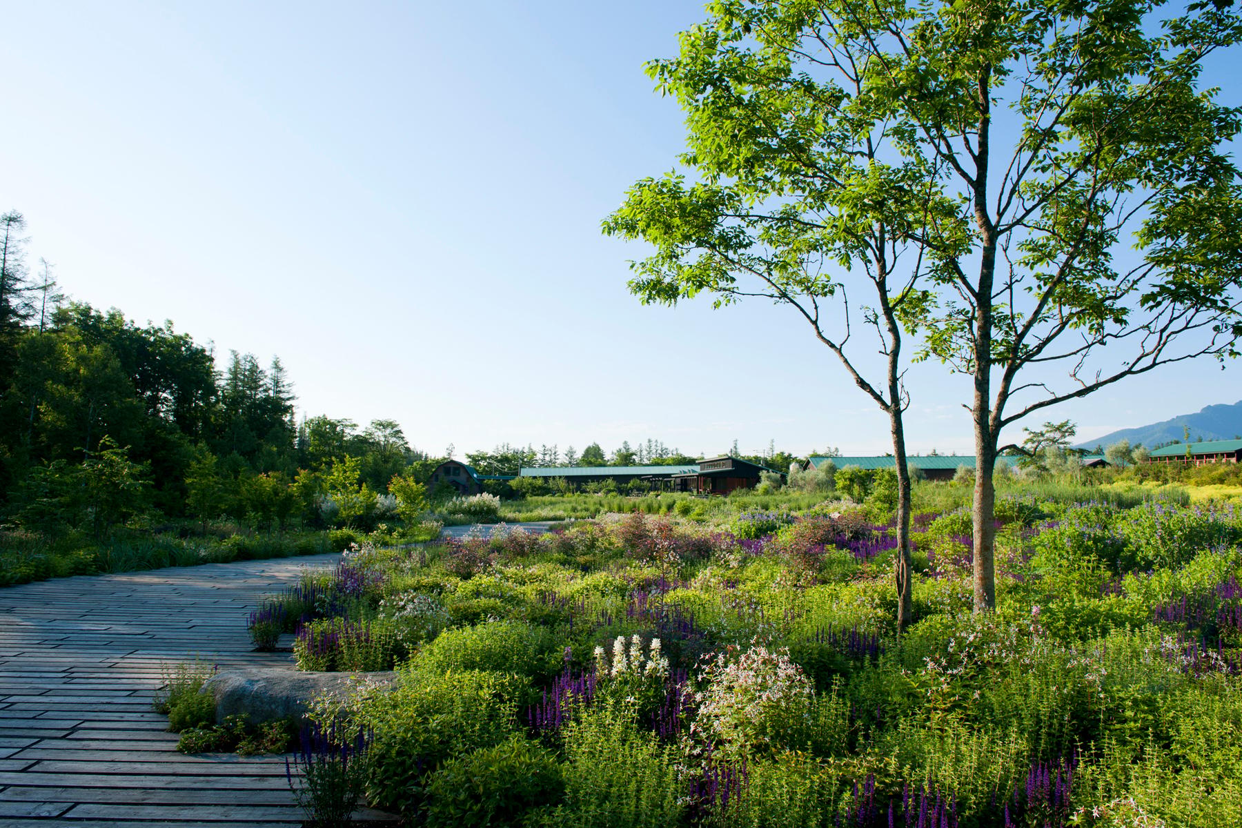 Tokachi Millennium Forest - image 12