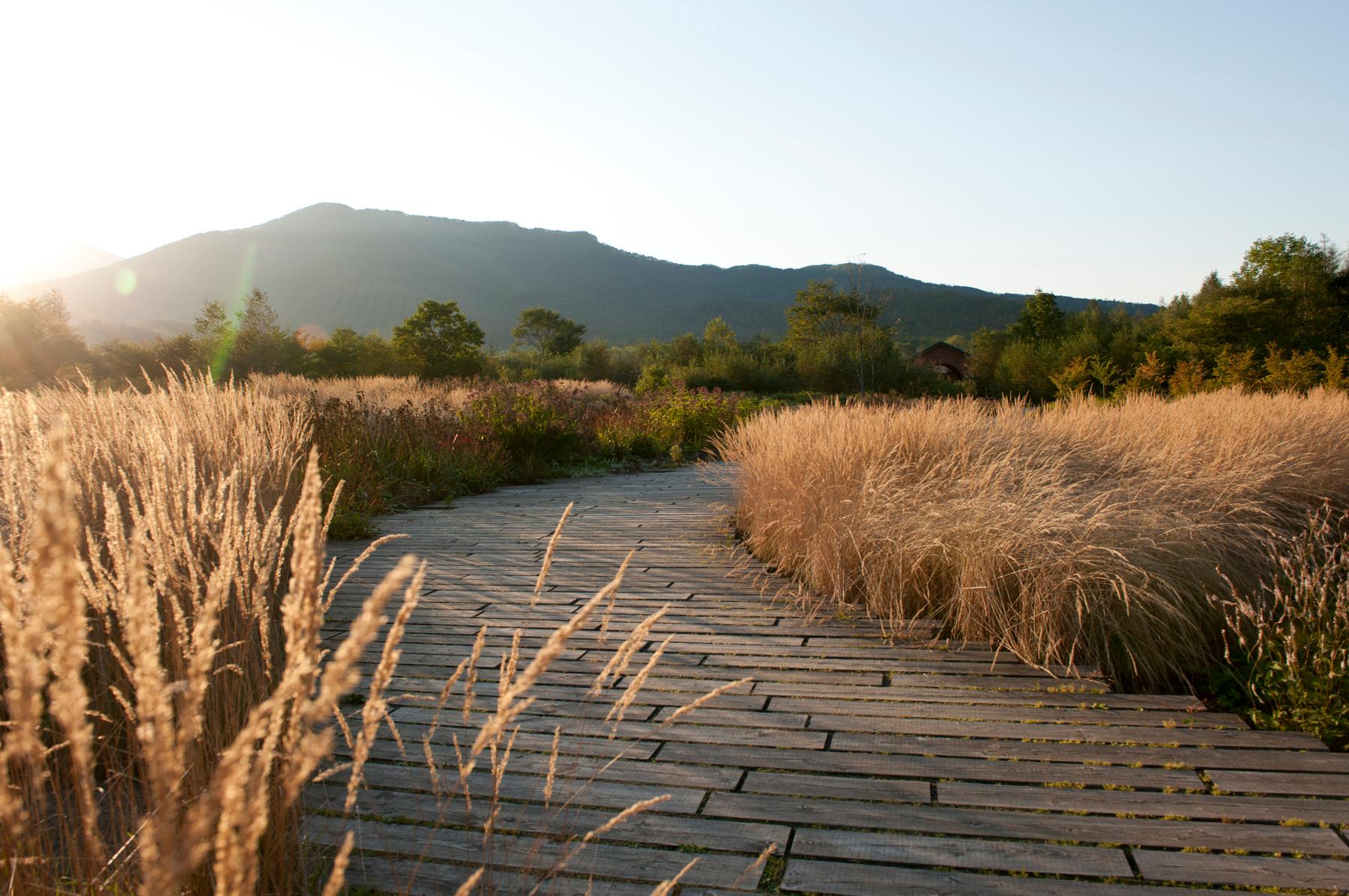 Tokachi Millennium Forest - image 10