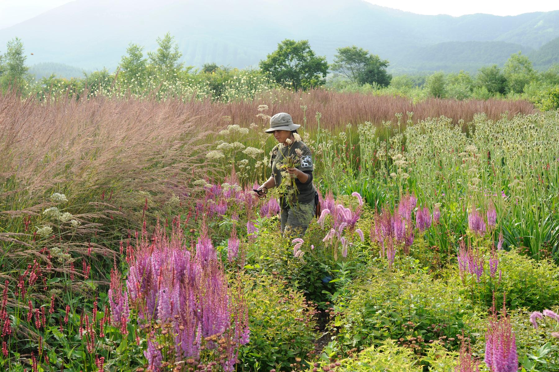 Tokachi Millennium Forest - image 4