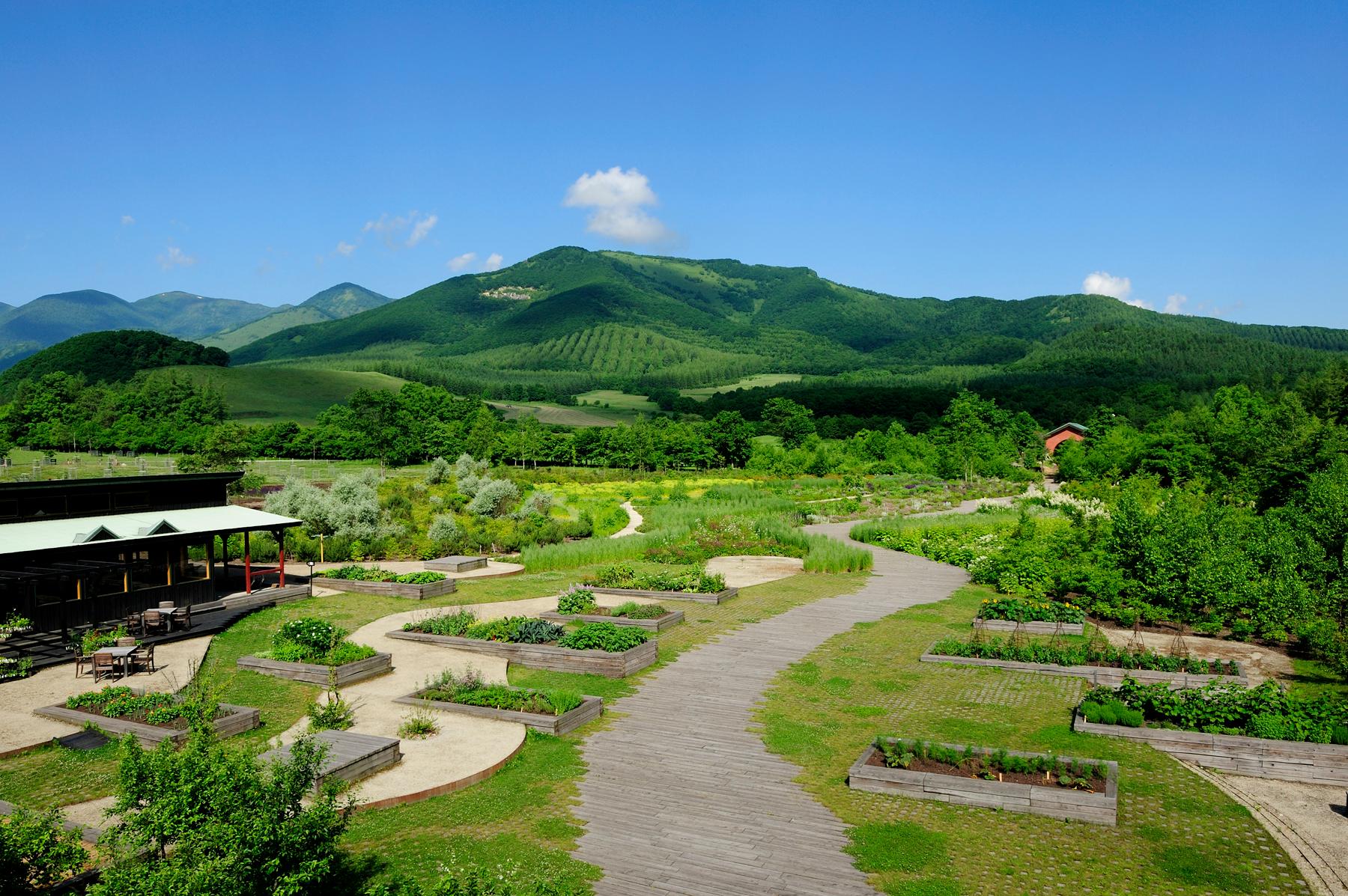 Tokachi Millennium Forest - image 2