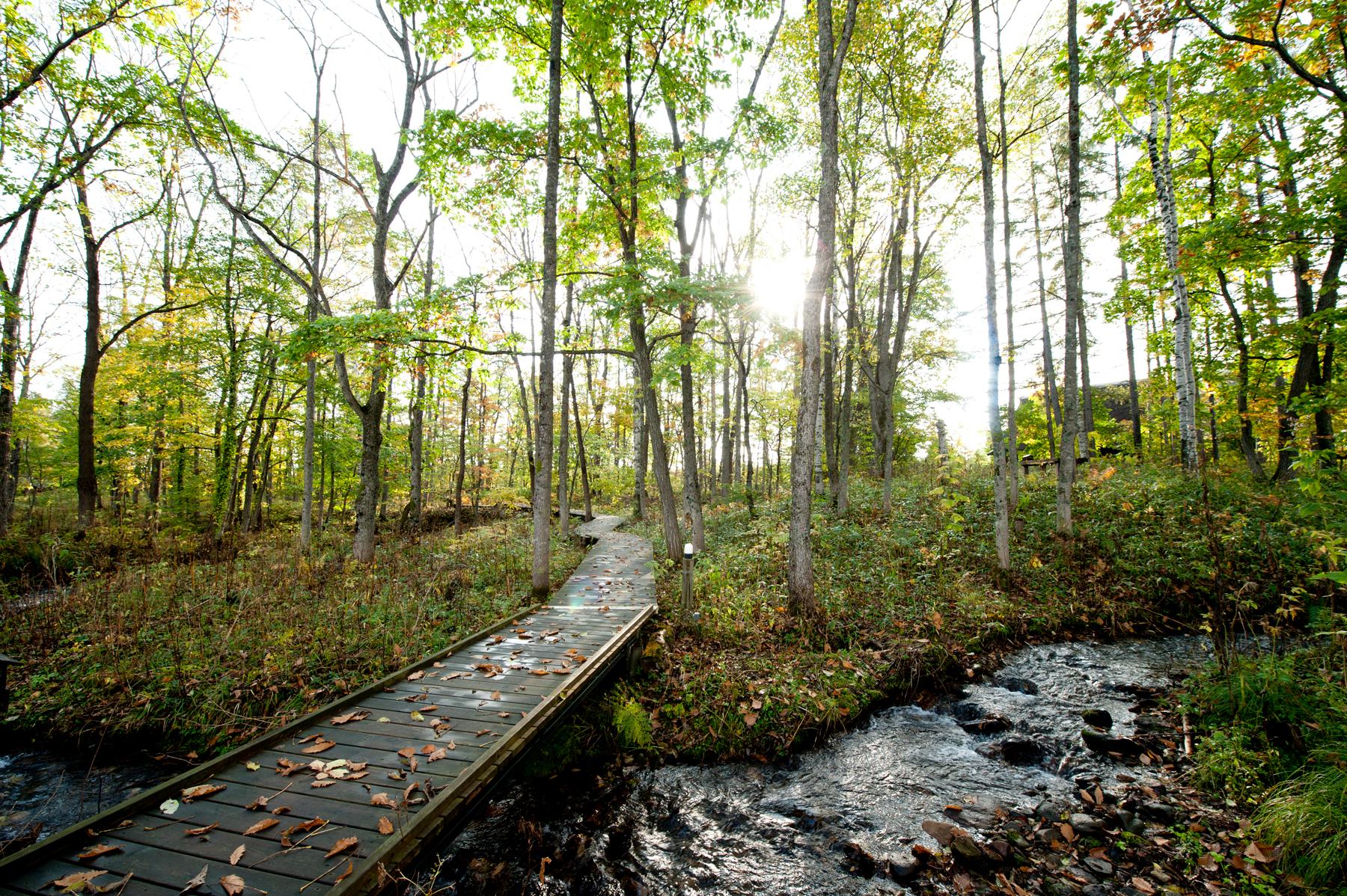 Tokachi Millennium Forest - image 3