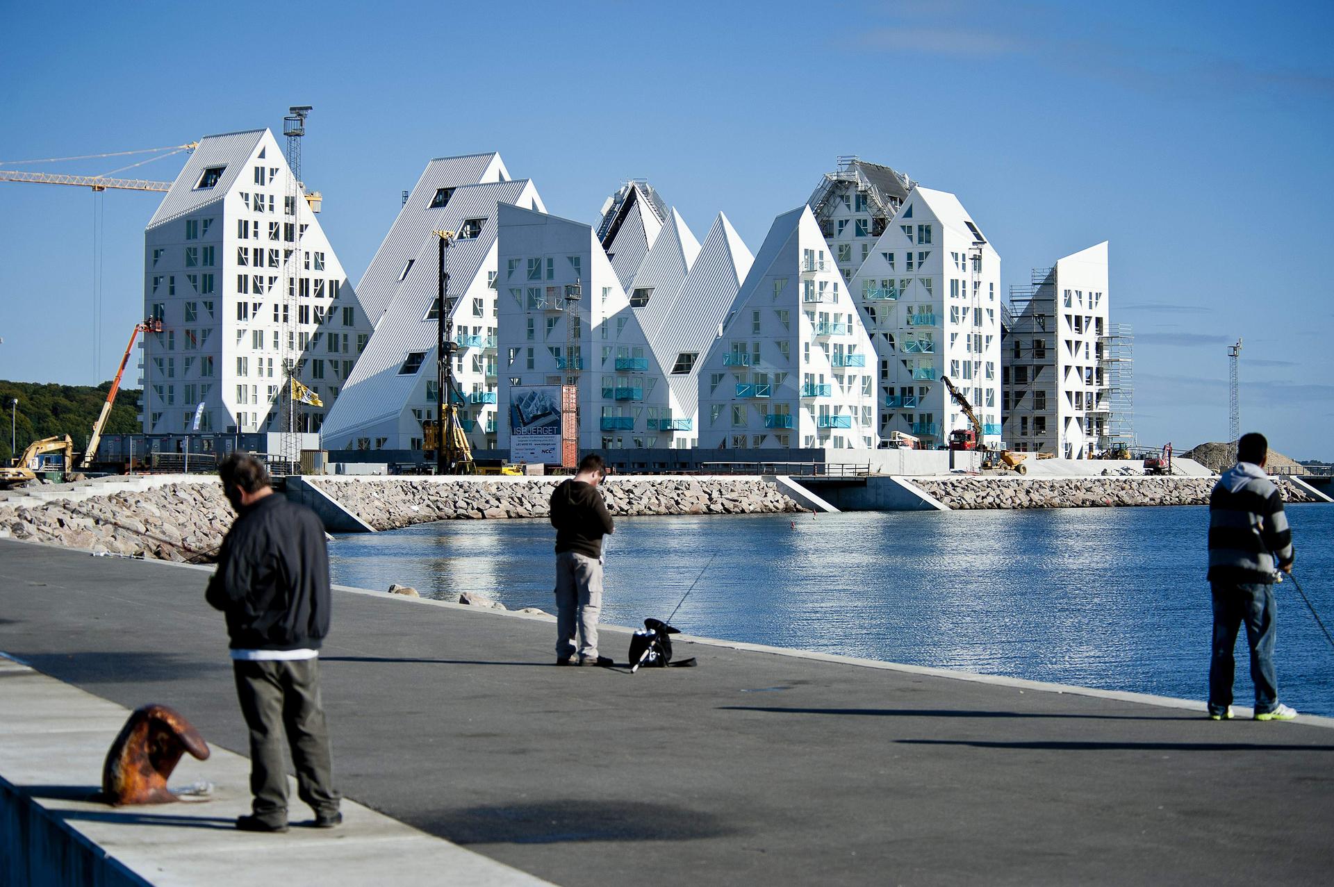 The Iceberg - image 8