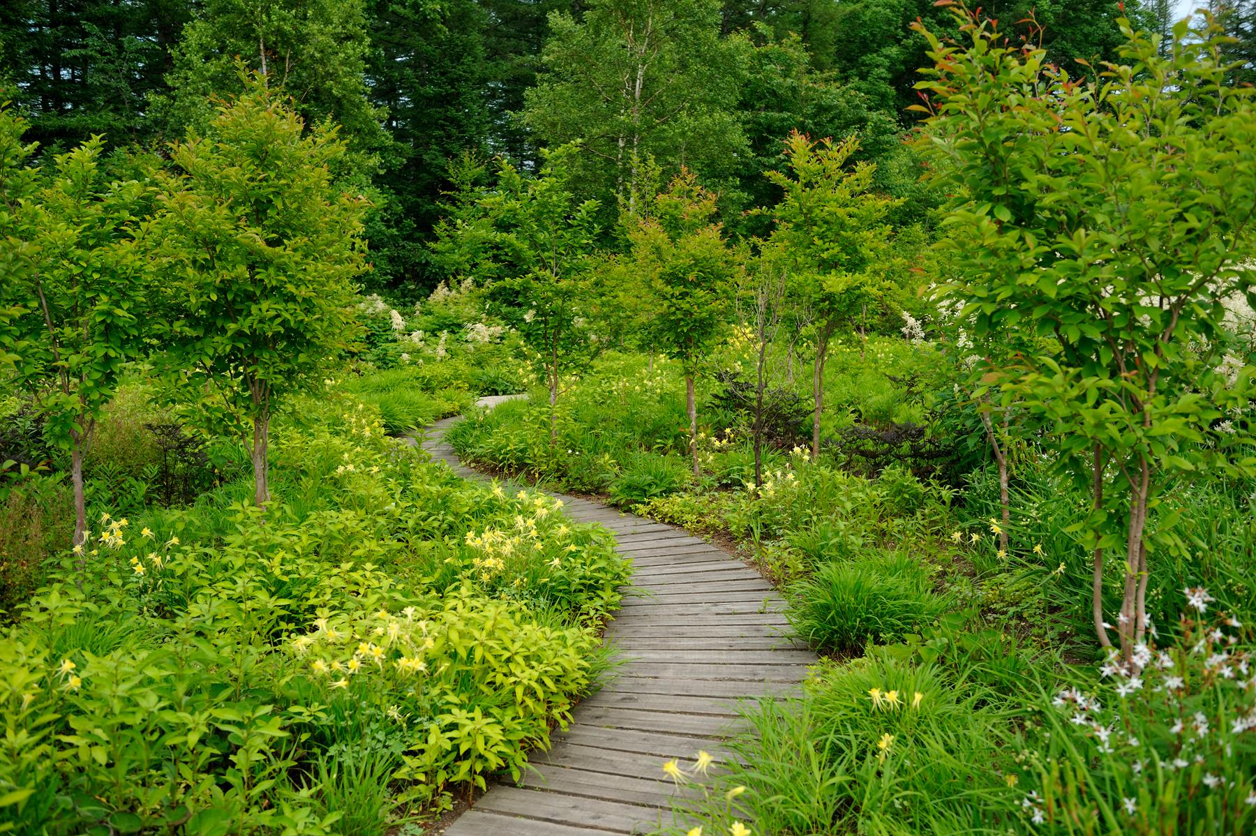 Tokachi Millennium Forest - image 8