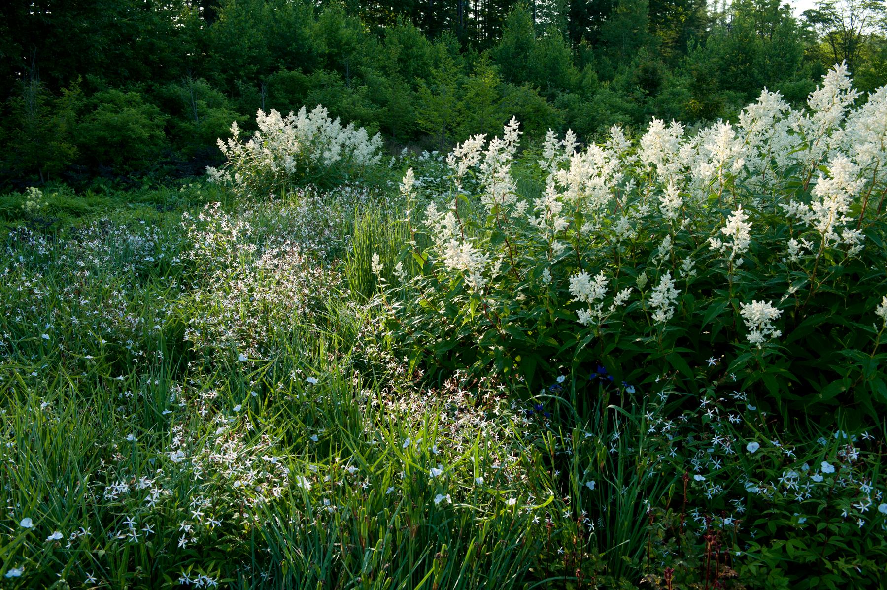 Tokachi Millennium Forest - image 11
