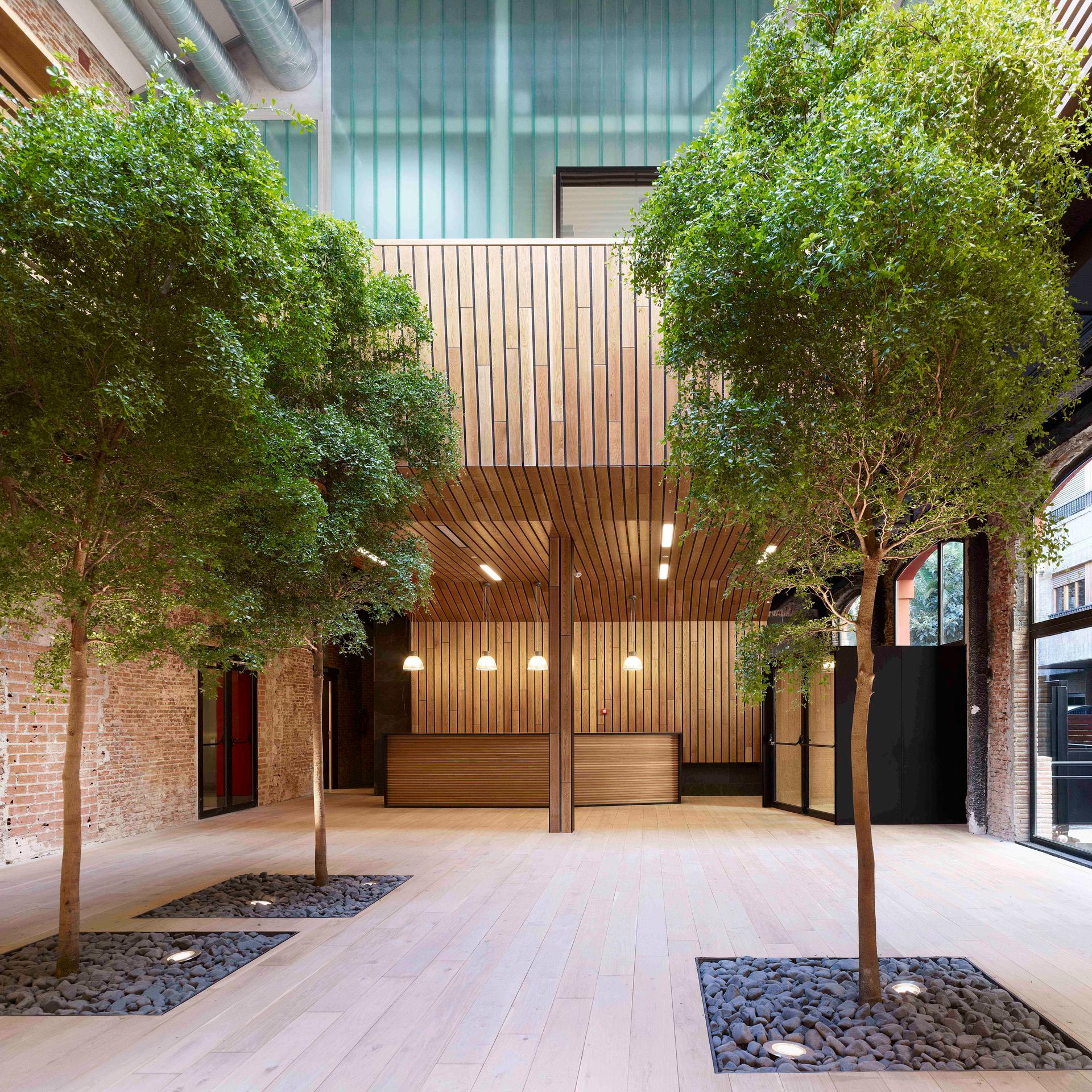 The New Offices of the Botín Foundation in Madrid - image 2