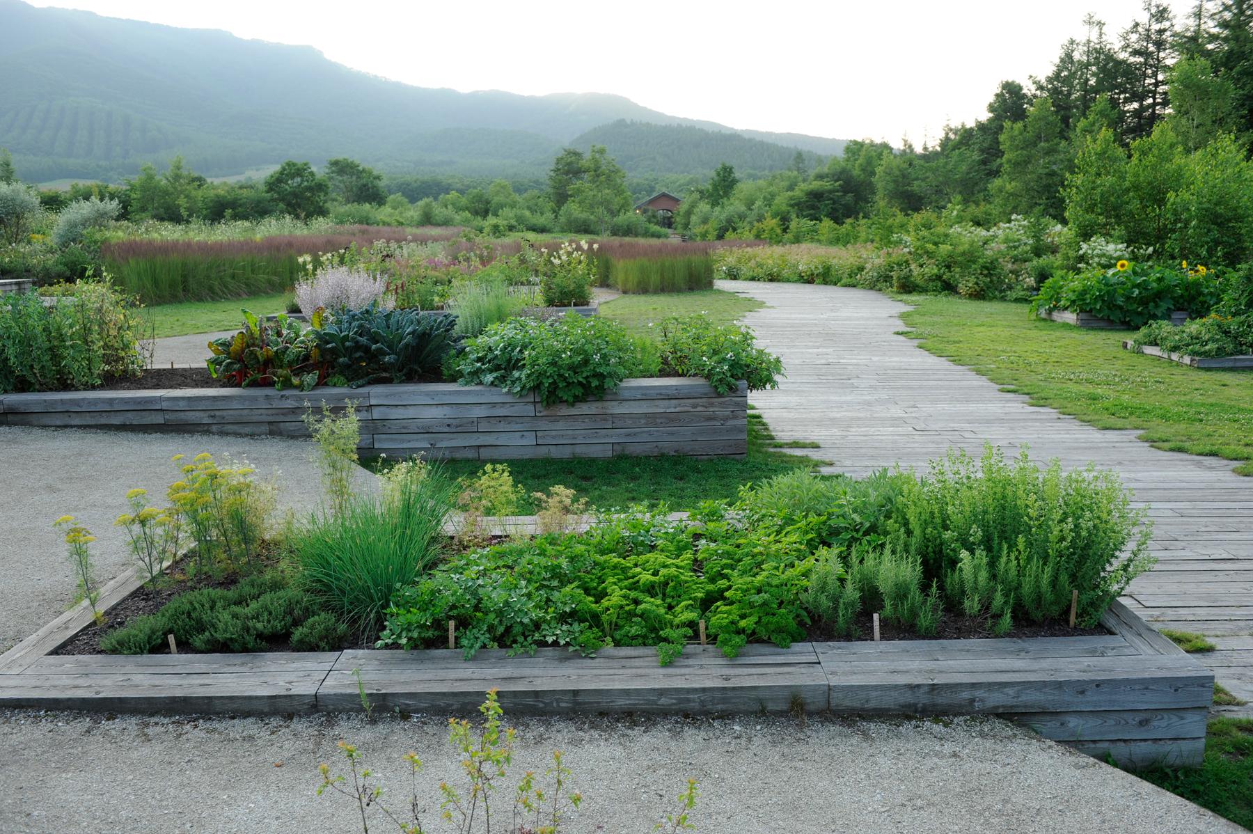 Tokachi Millennium Forest - image 5