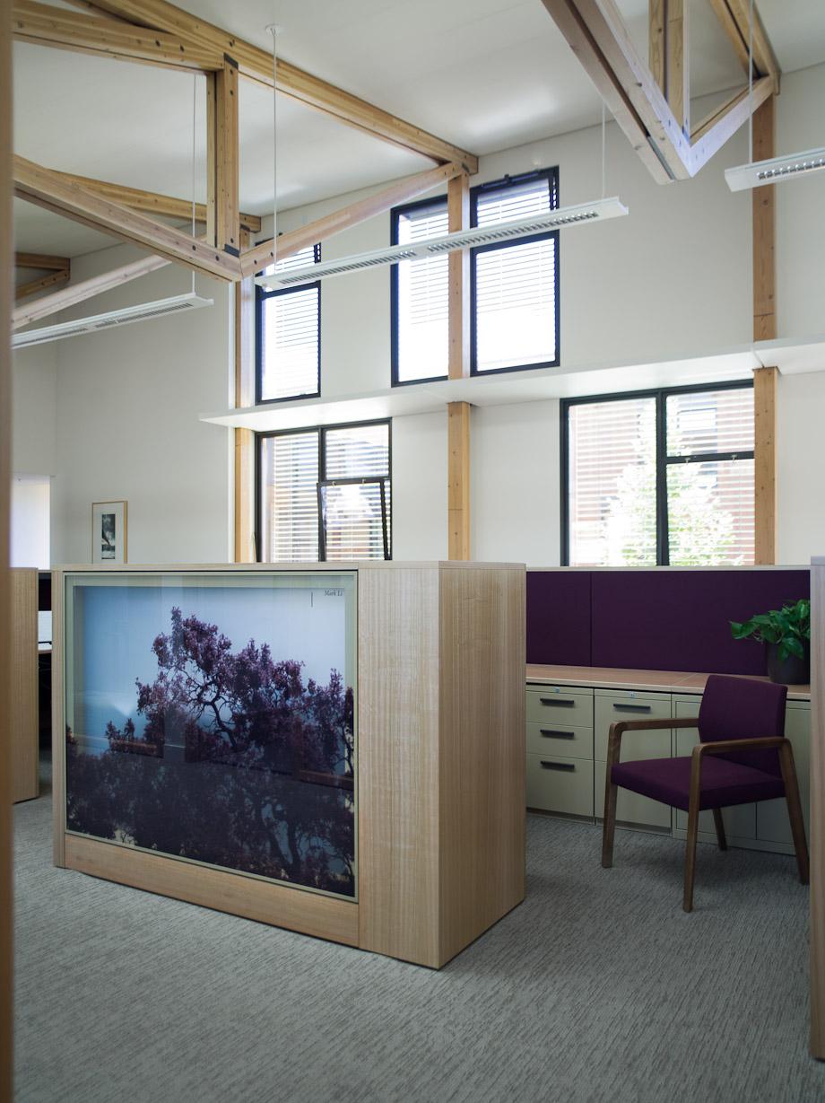 The David and Lucile Packard Foundation - image 11
