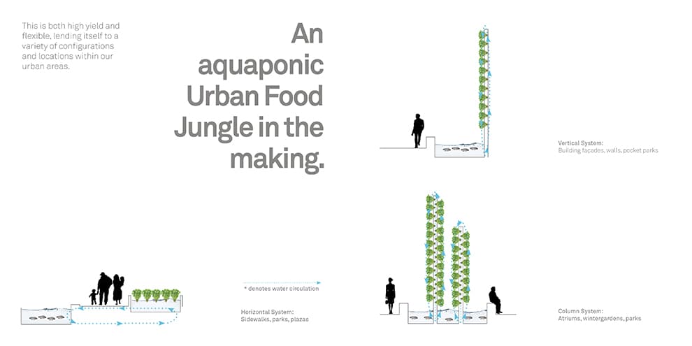 The Urban Food Jungle - image 10