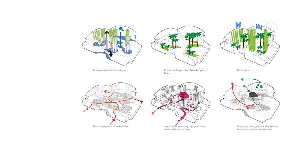 The Urban Food Jungle - image 12