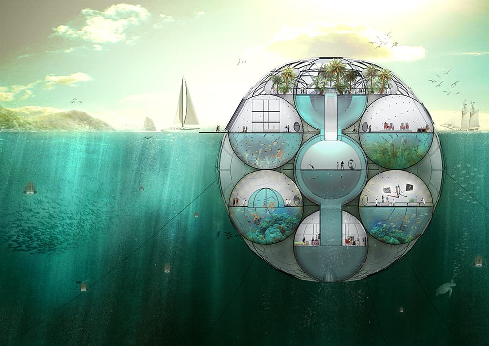 Bloom: Aquatic Farm - image 2