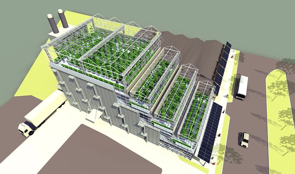 Growing Power Urban Farm - image 4
