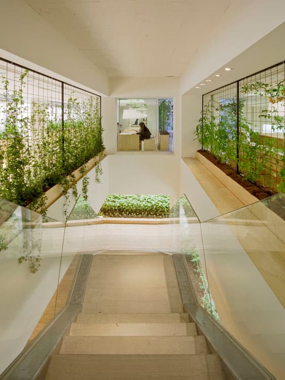 Pasona H.Q. Tokyo - image 19